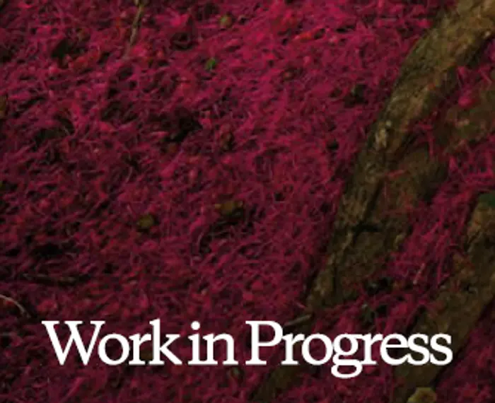 Patagonia's Work in Progress report