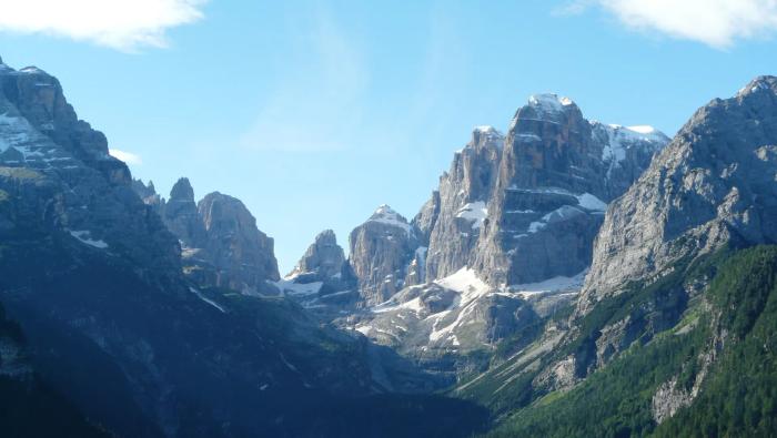 A mountain view with pine trees and snowy mountain peaks.