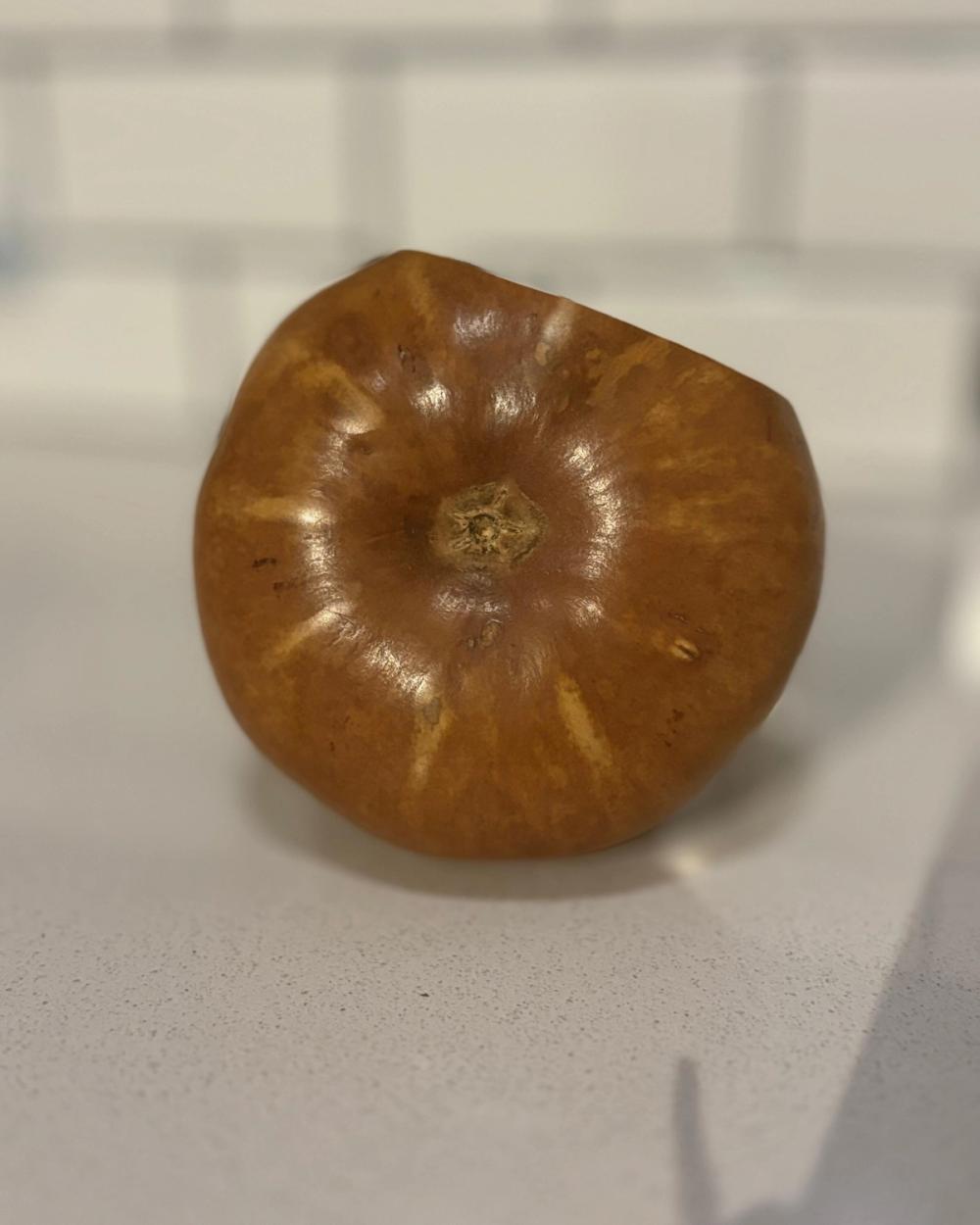 Galleta P0#003