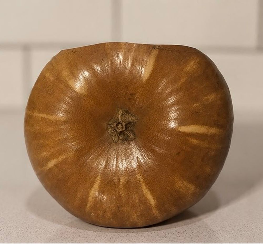 Galleta P0#002 — miniatura 2