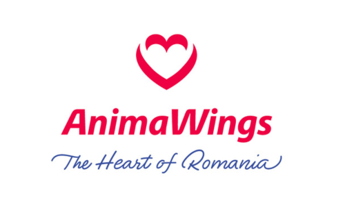 logo_60