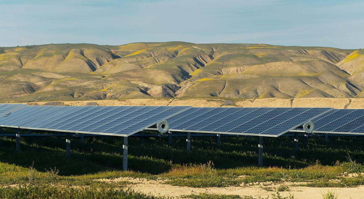Ferrovial se alía con Toyota para impulsar su nueva megaplanta solar en Texas