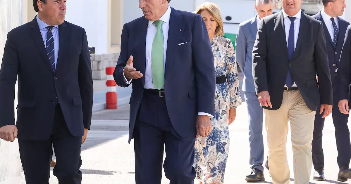 Iberdrola invierte 100 millones en rediseñar la red eléctrica dañada tras la DANA