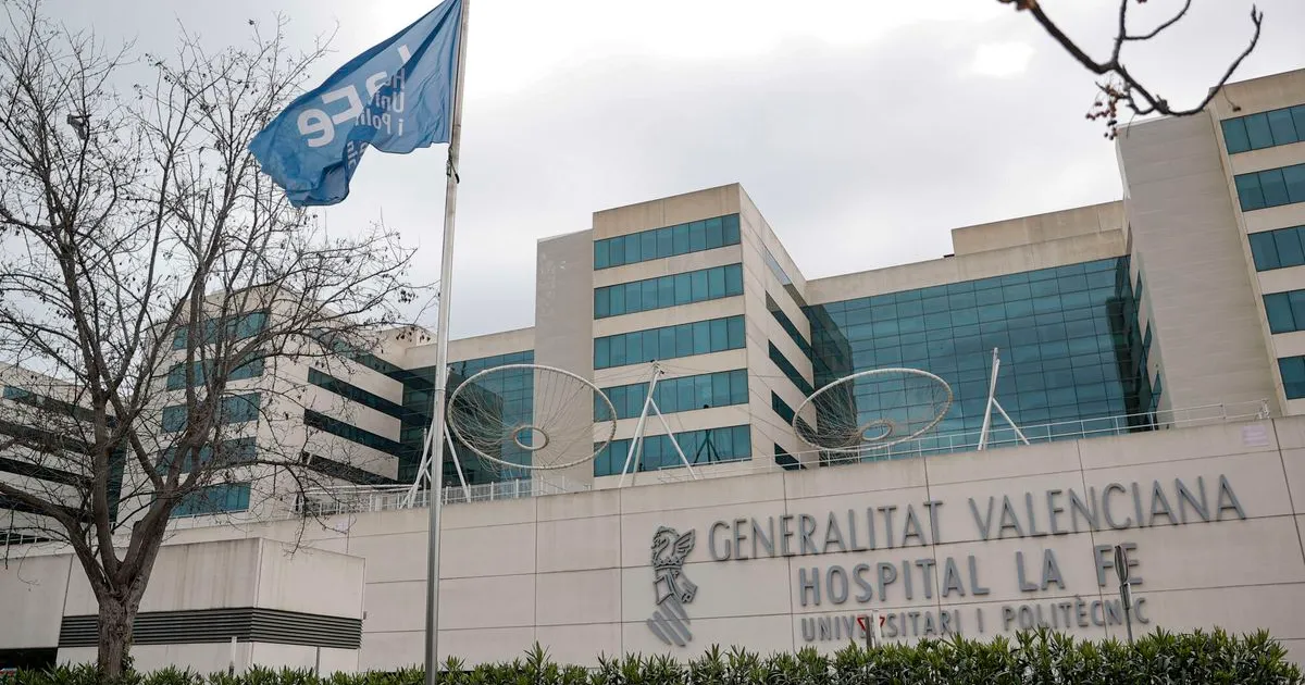 Pugna por el contrato multimillonario de limpieza de hospitales valencianos