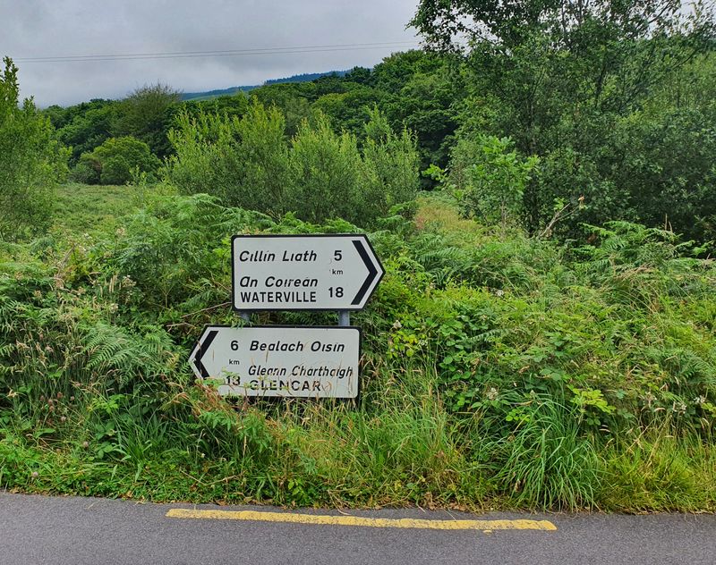 Overgrown Irish road signs pointing to Waterville and Glencar on a country lane in Kerry