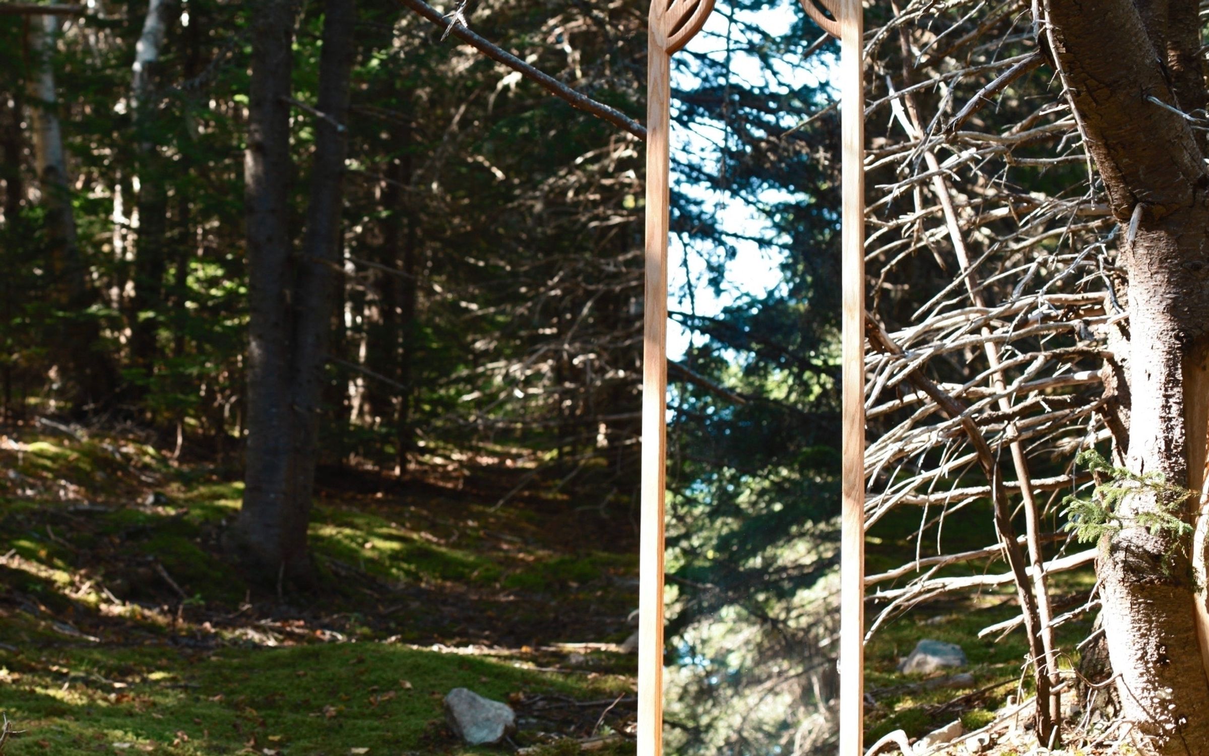 A custom mirror in the woods