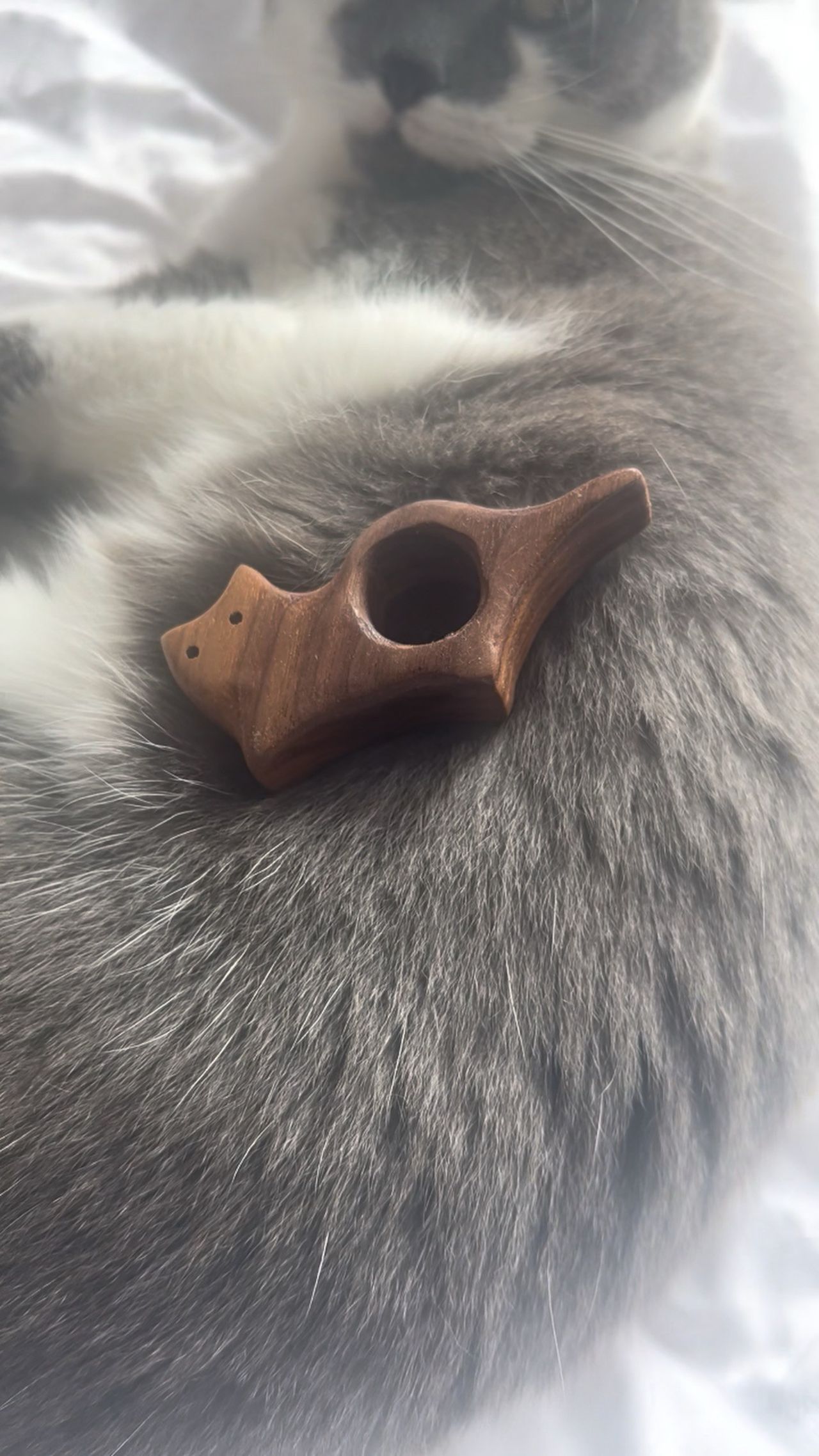 Small hand-carved wooden cat resting on a grey cat