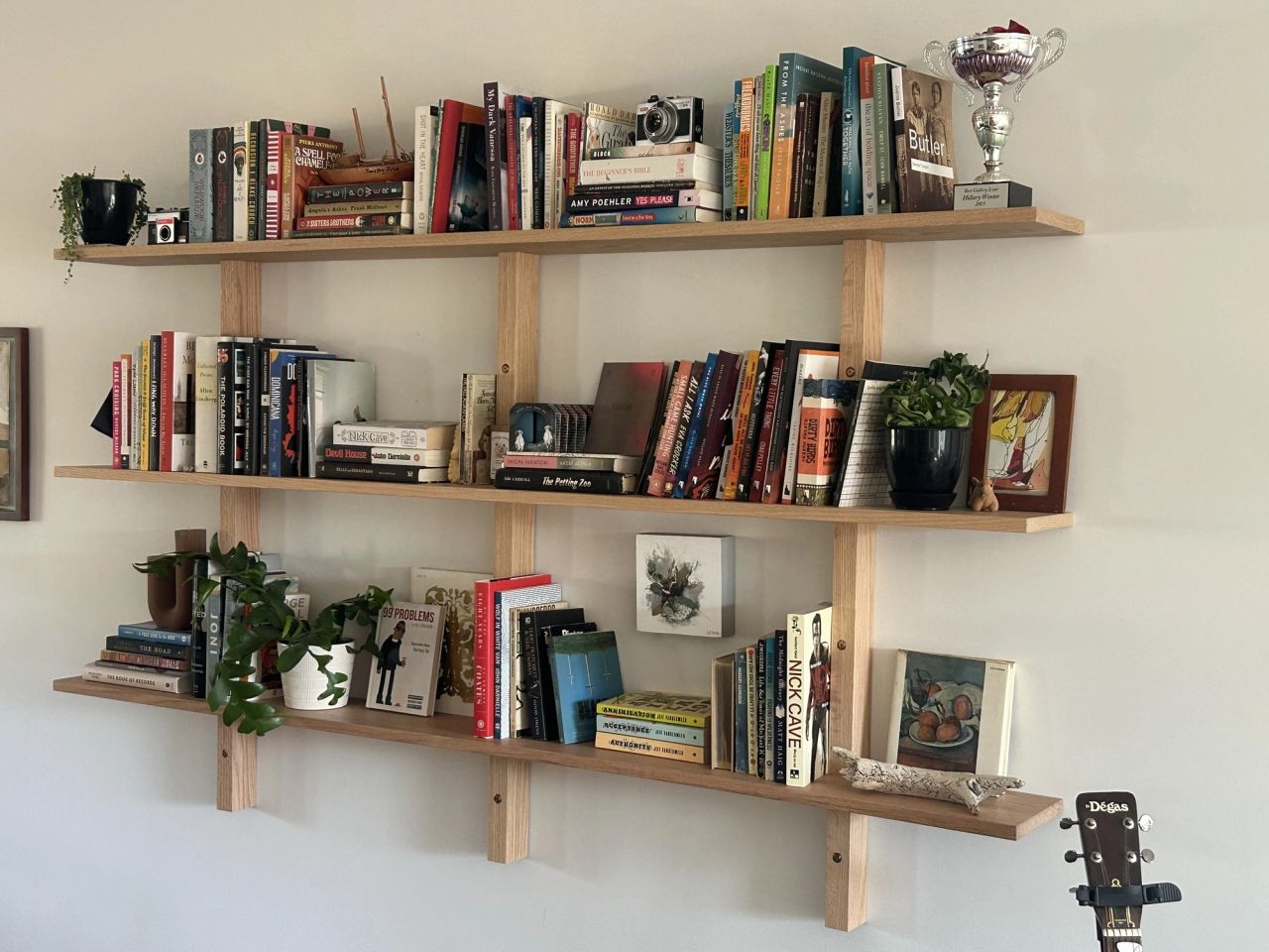 Three-tier wall-mounted wooden shelving filled with books and plants