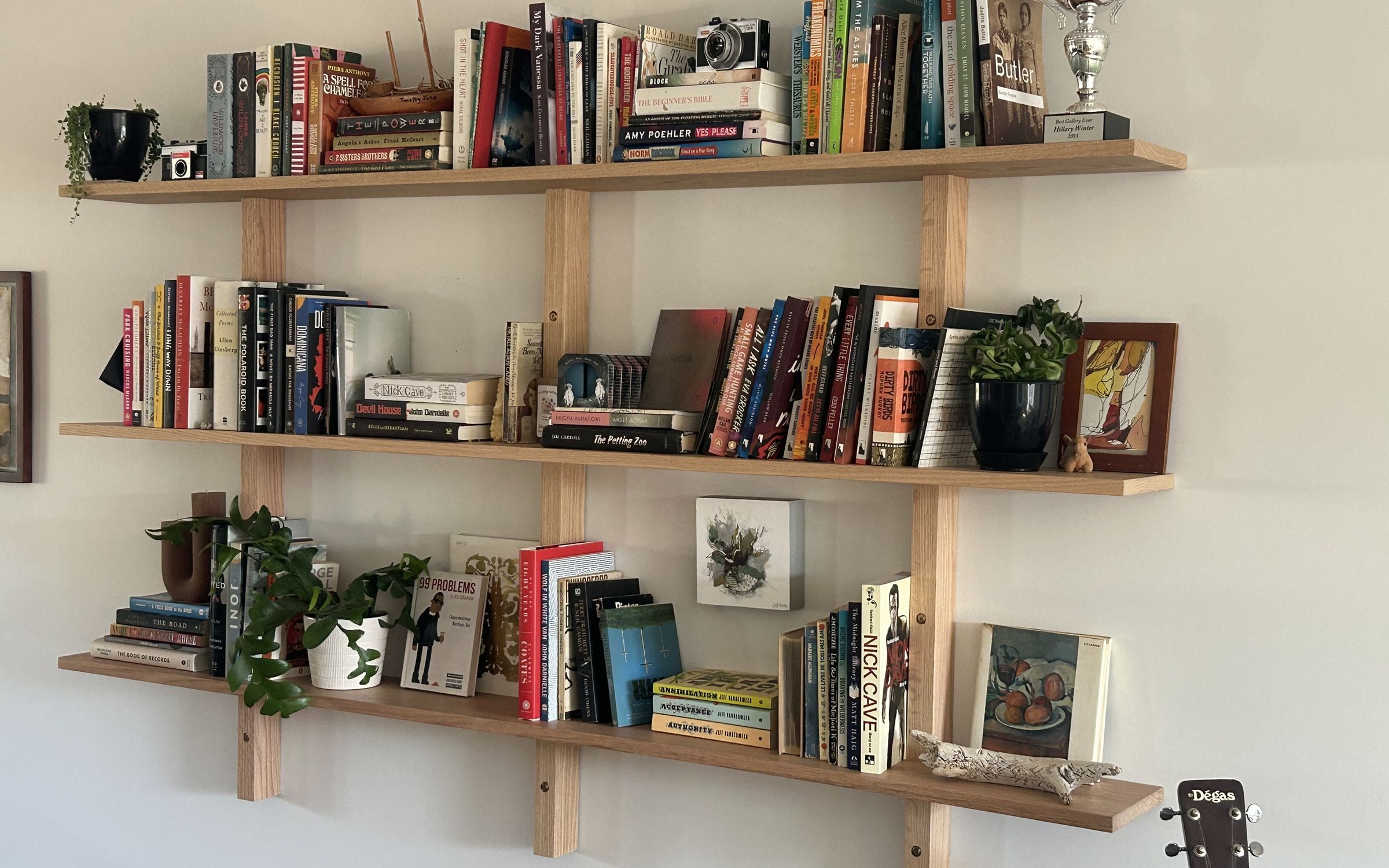 Three-tier wall-mounted wooden shelving filled with books and plants