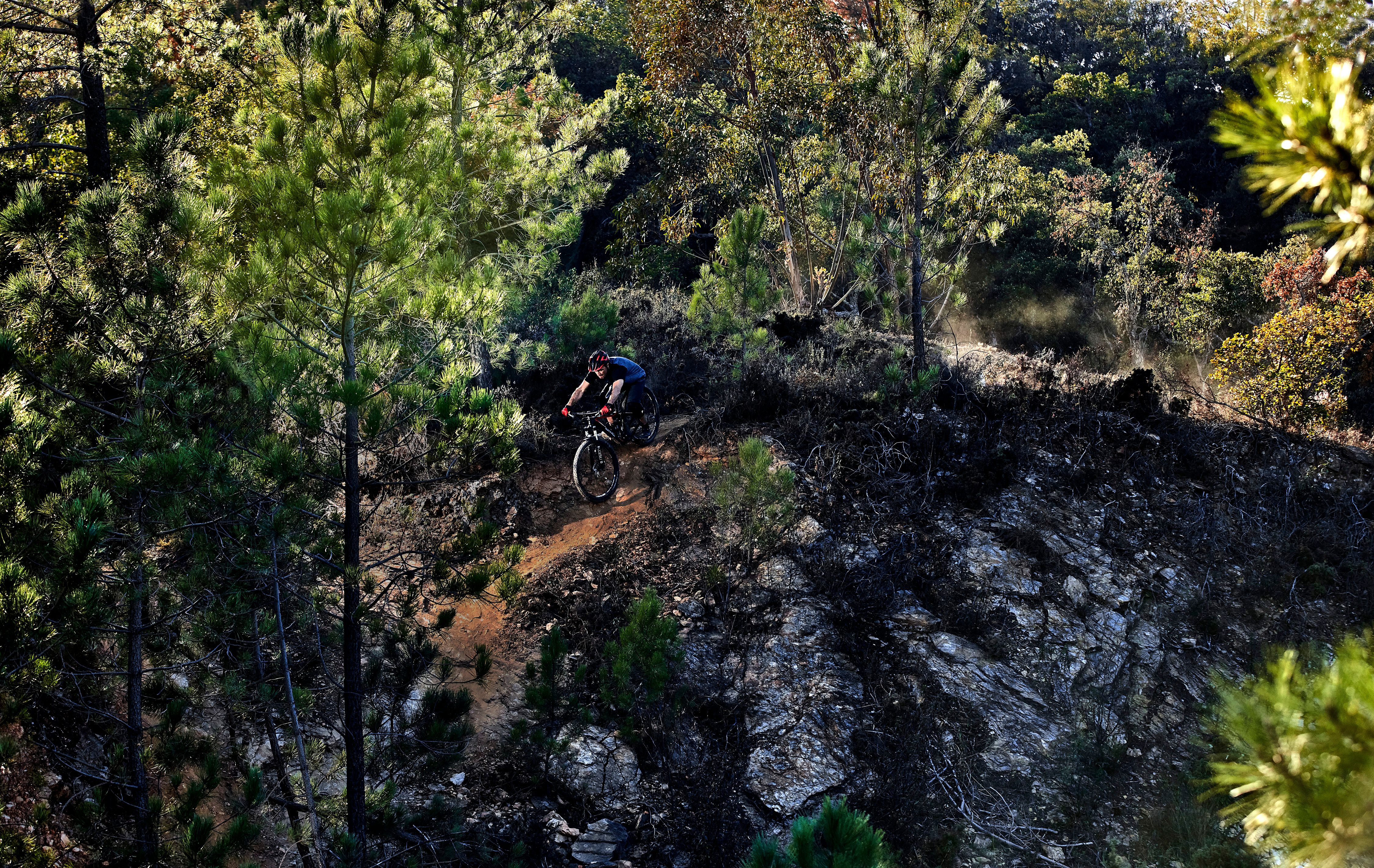 Stills Photography