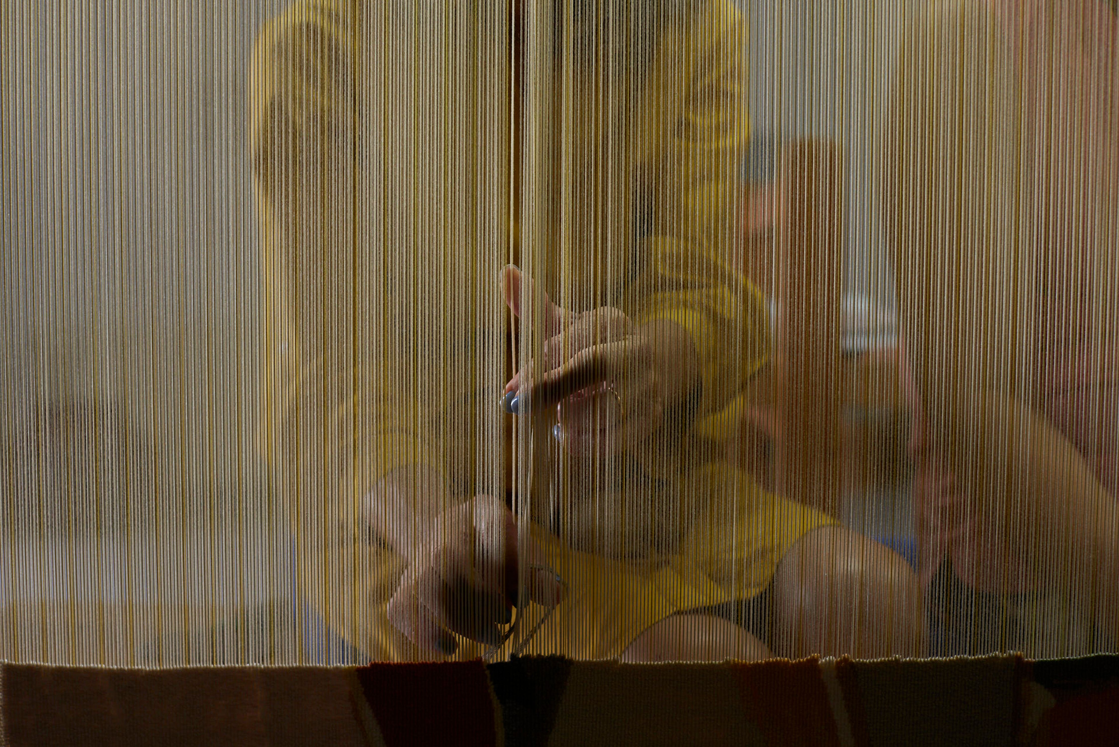 Stills Photography