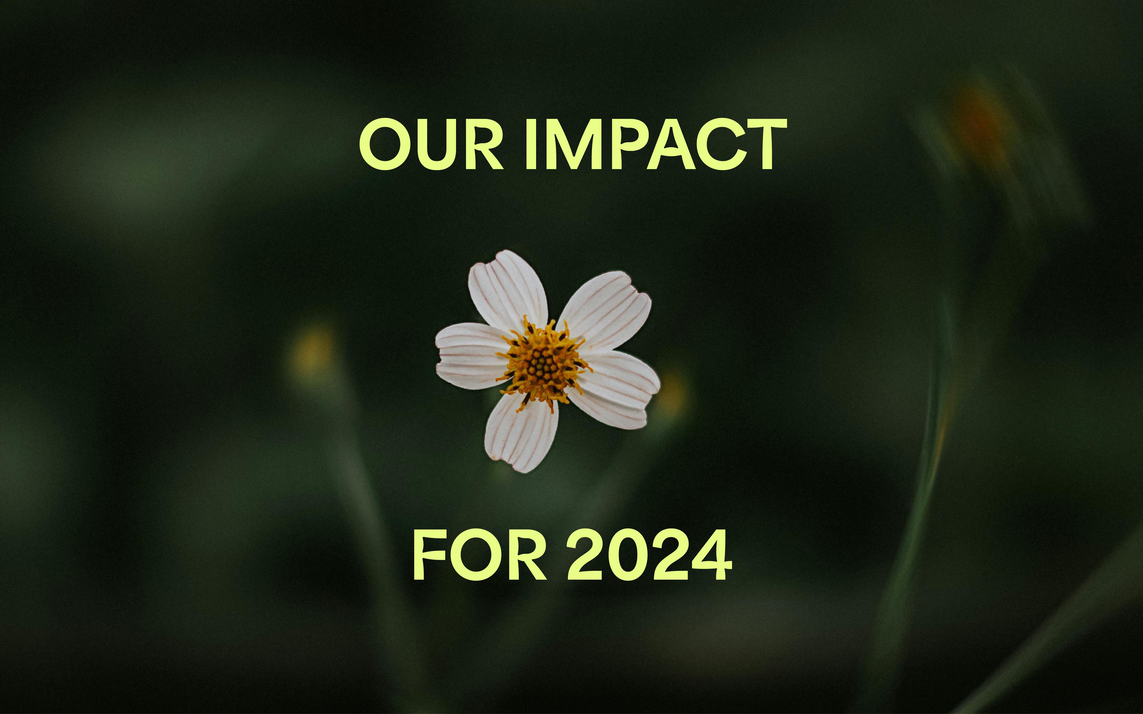 The words OUR IMPACT 2024 with a beautiful white flower on a blurred green back ground.