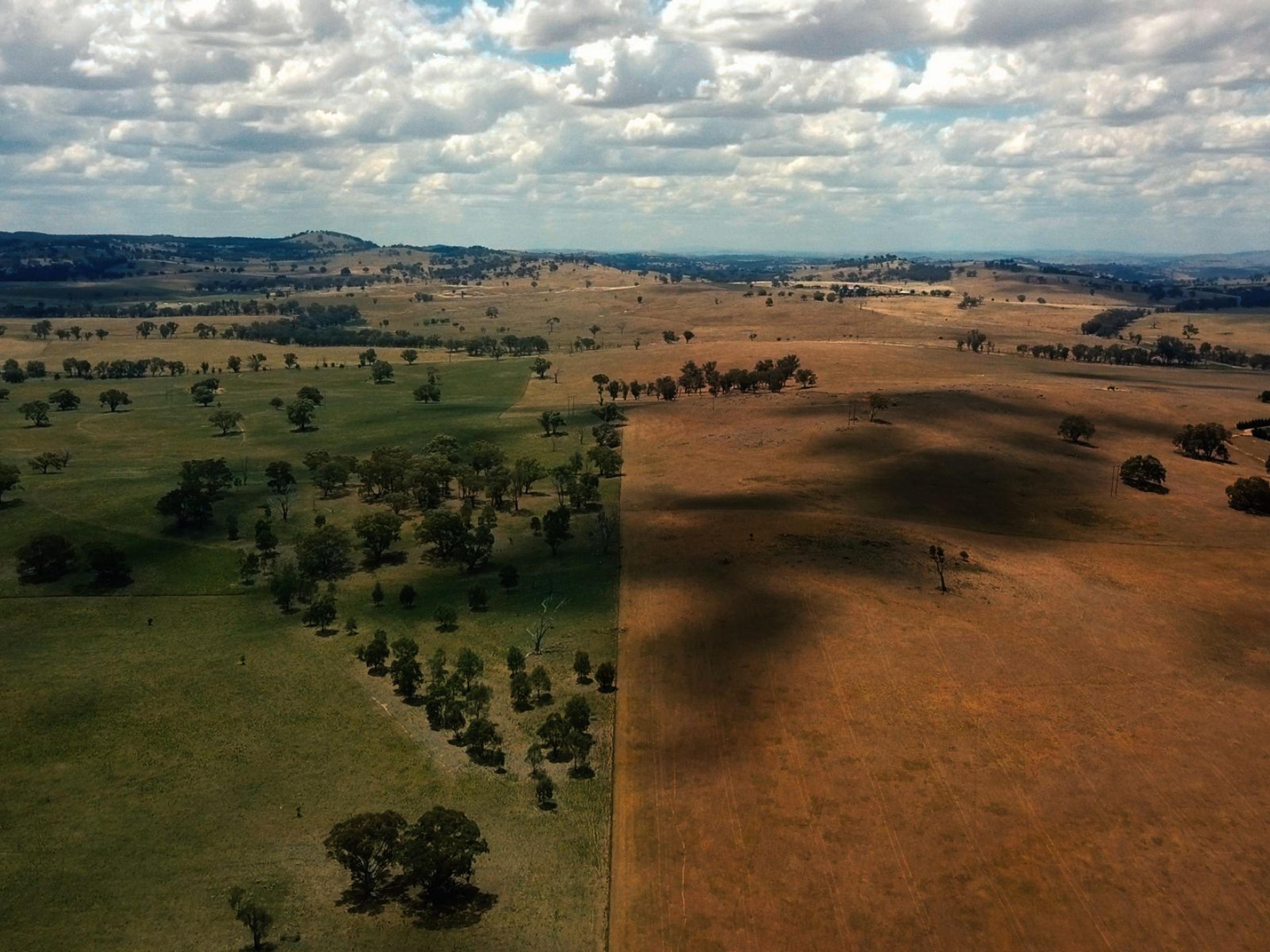 Two paddocks side by side. One is green, the other is brown.