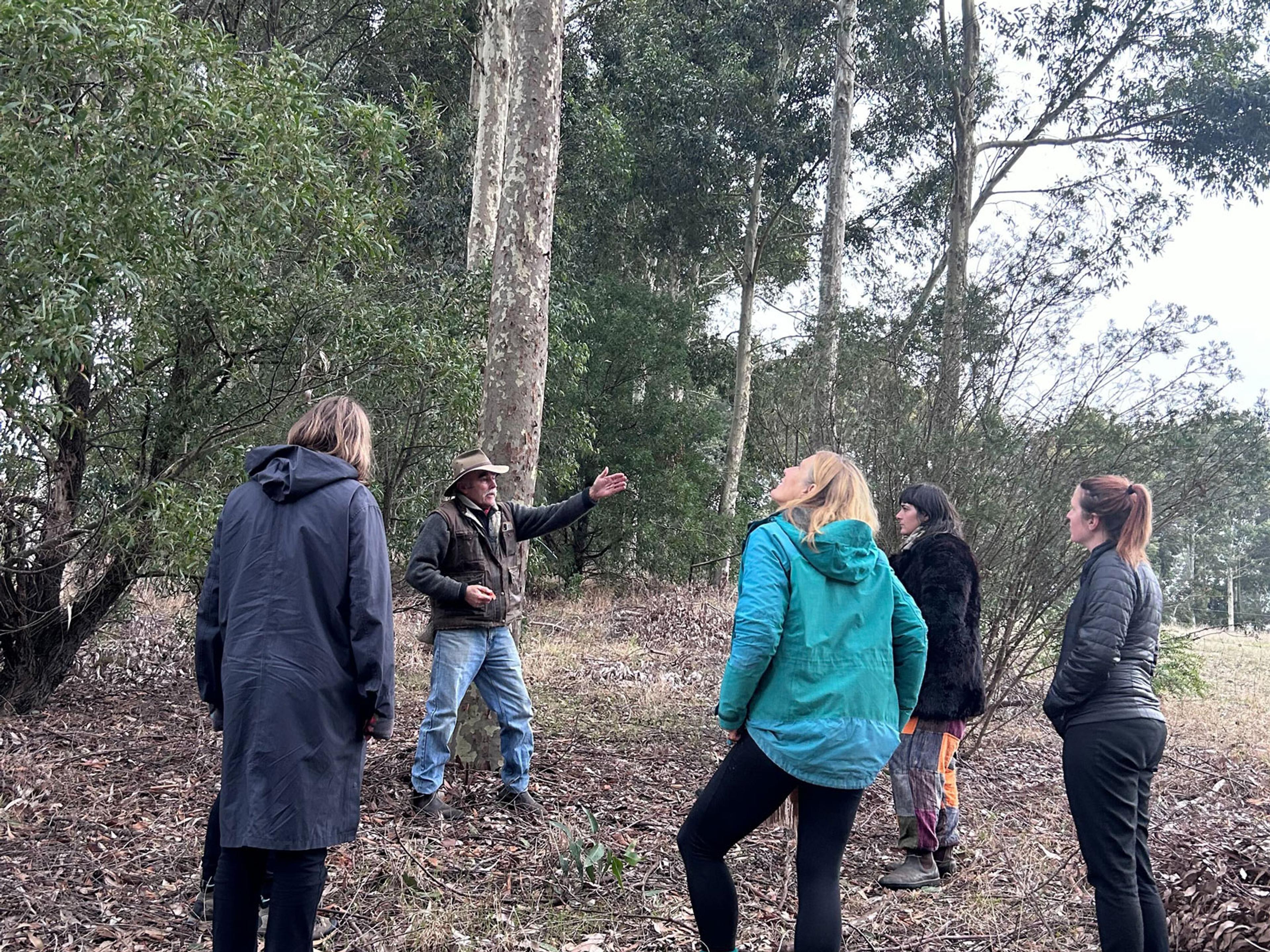 Members of the Sustainable Table team standing in the bush listening to a man speaking. 