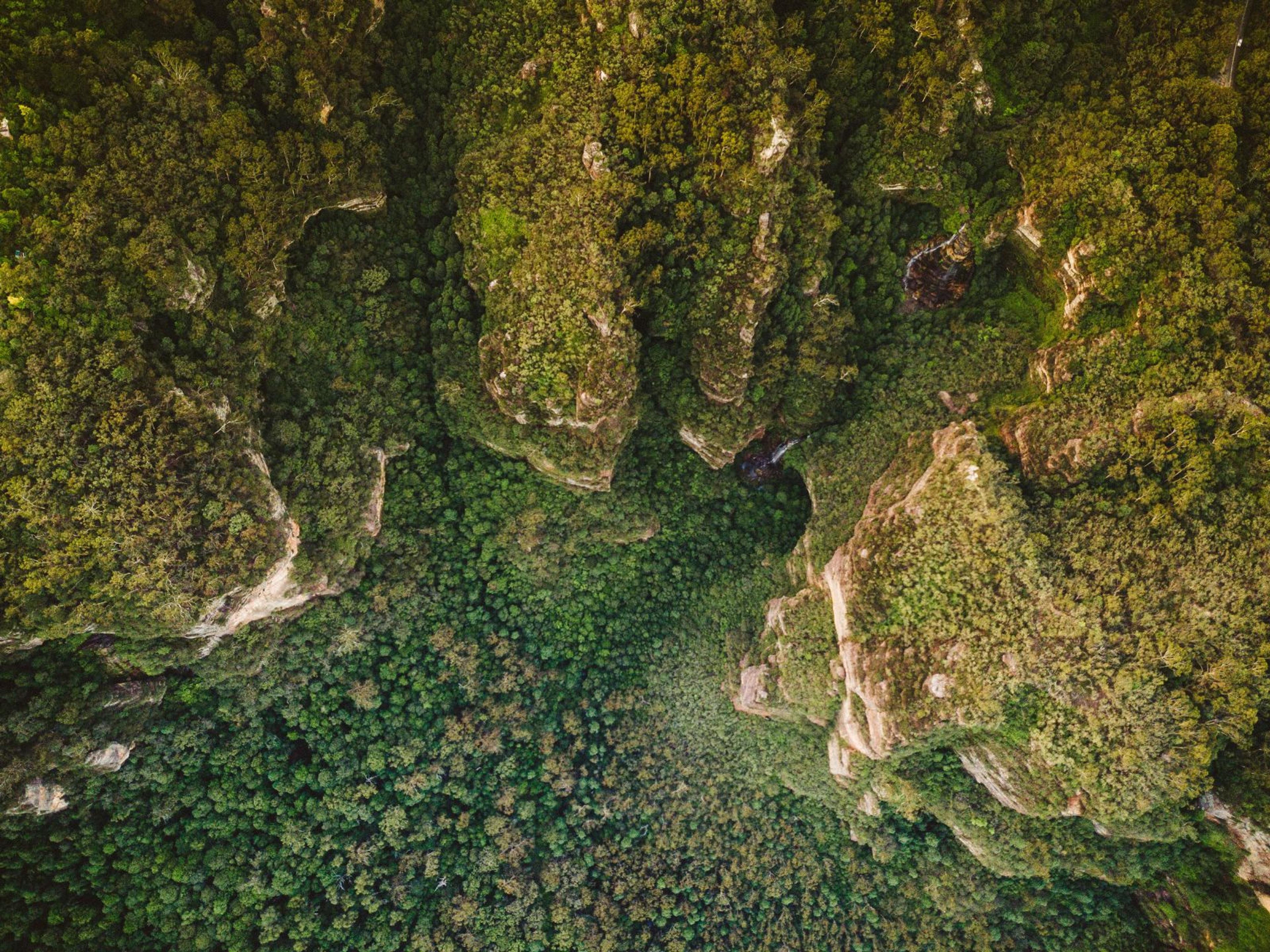 A birds eye view of a hilly forest.