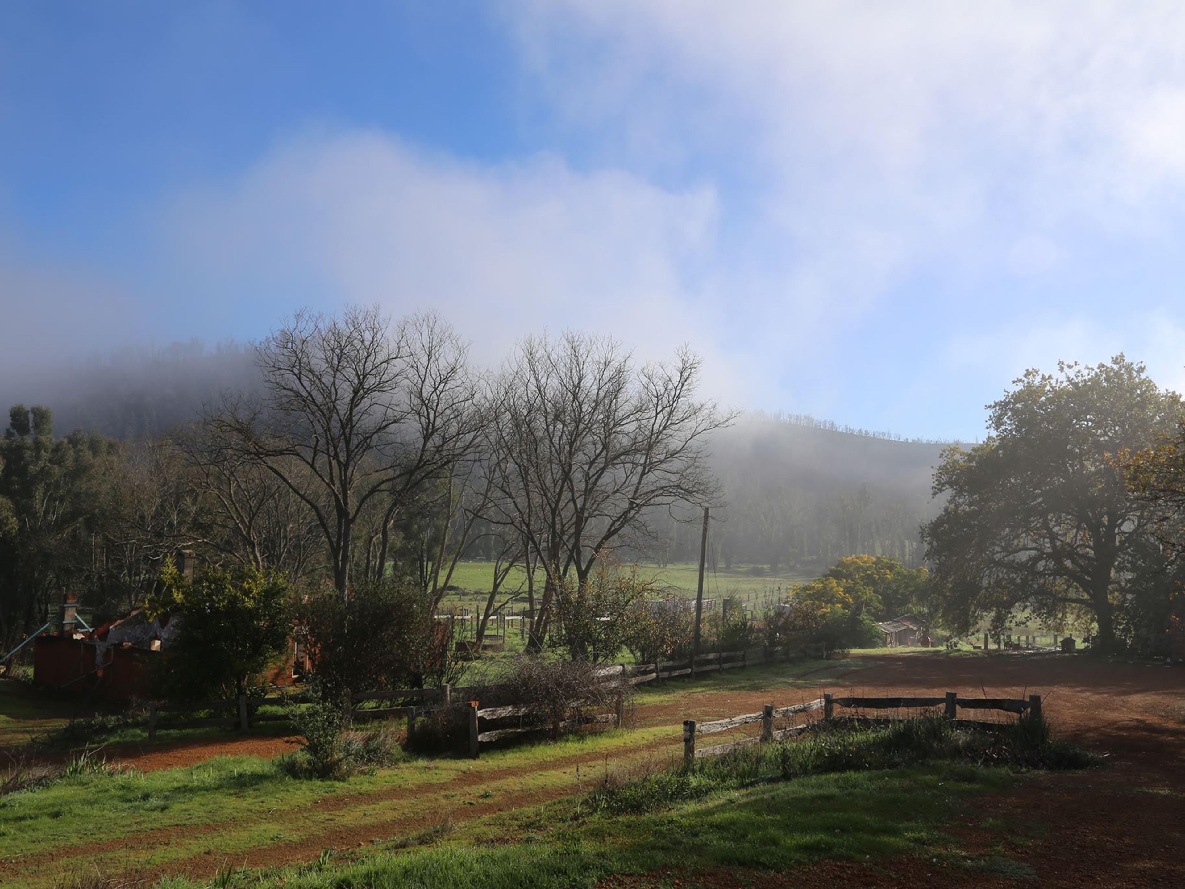 A green farm. You can see fencing in different spots and hill shrouded in low hanging cloud in the background.