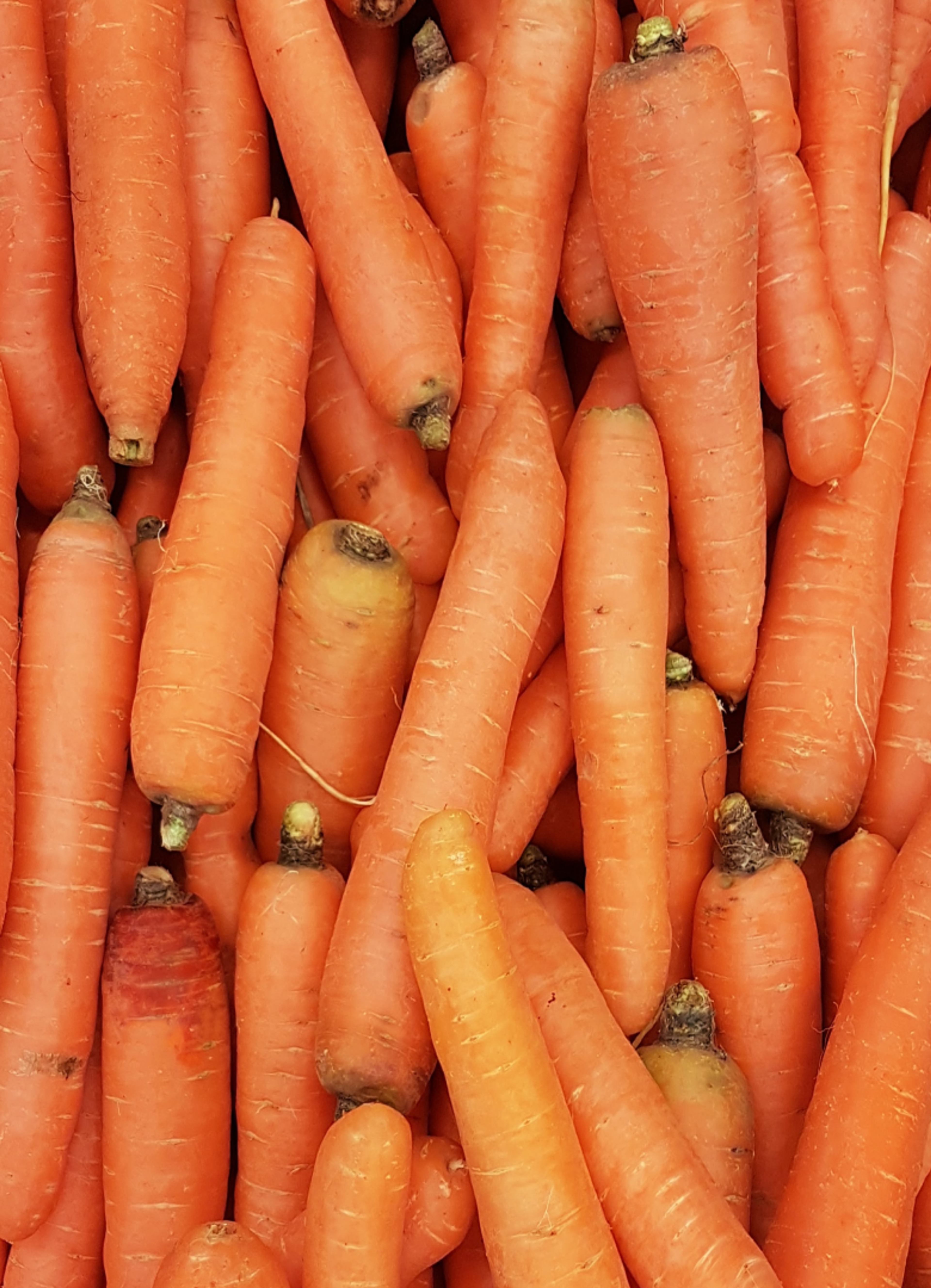 A pile of carrots.