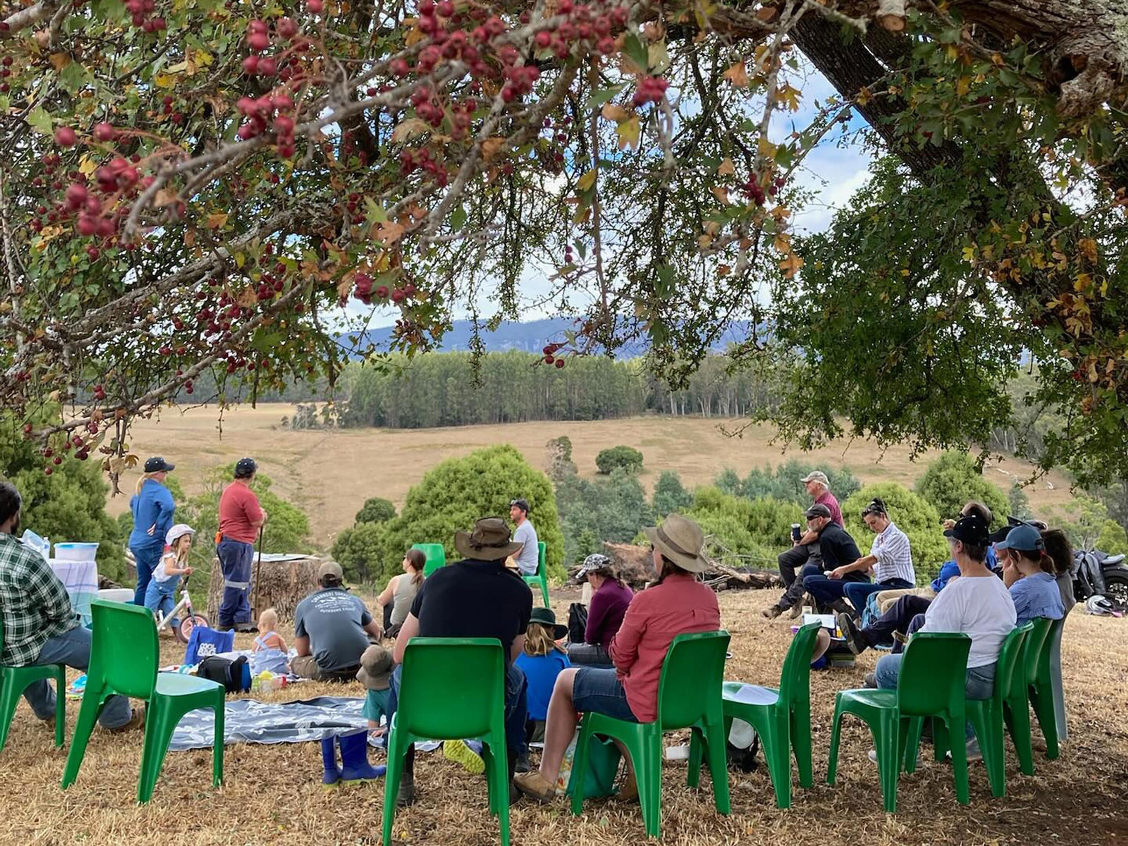 A group of people sitting on green plastic chairs underneath a big tree. 