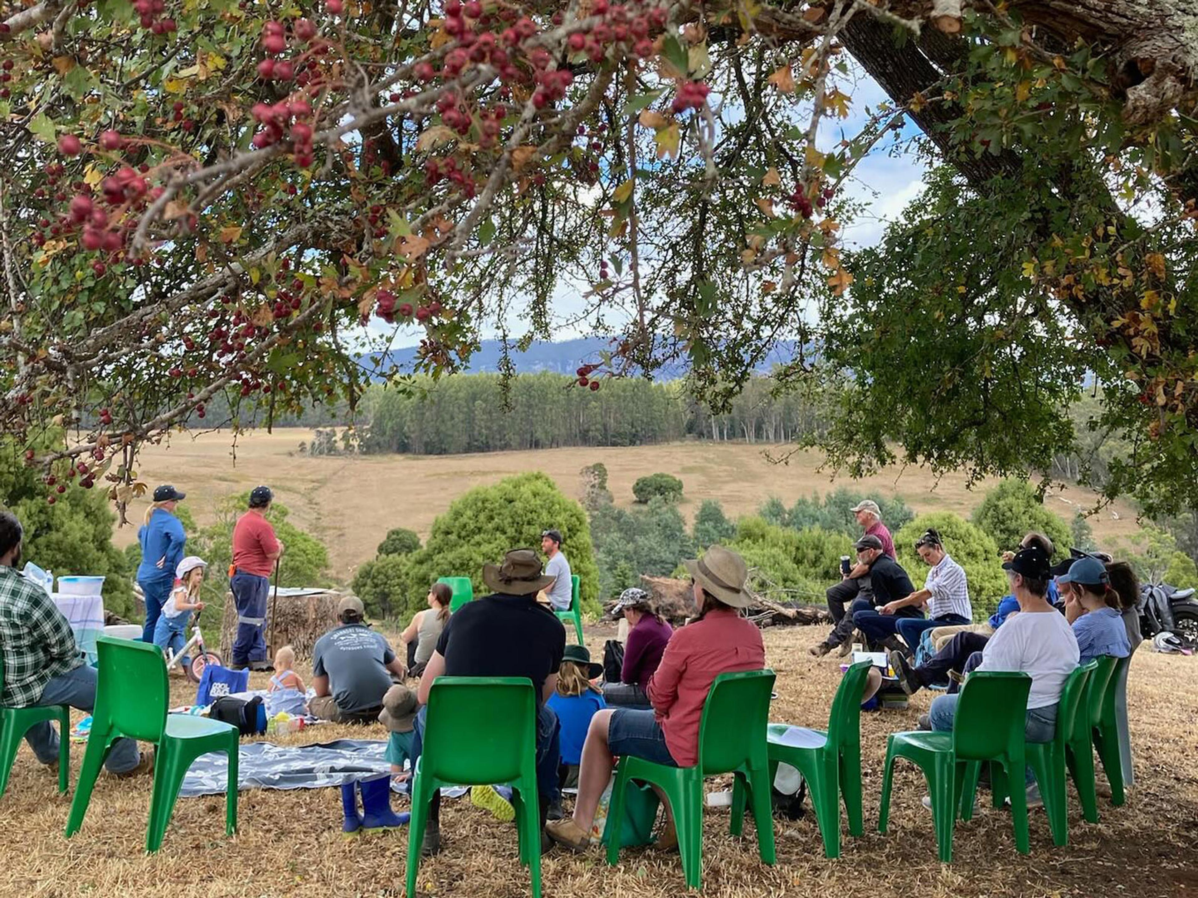 A group of people sitting on green plastic chairs underneath a big tree.