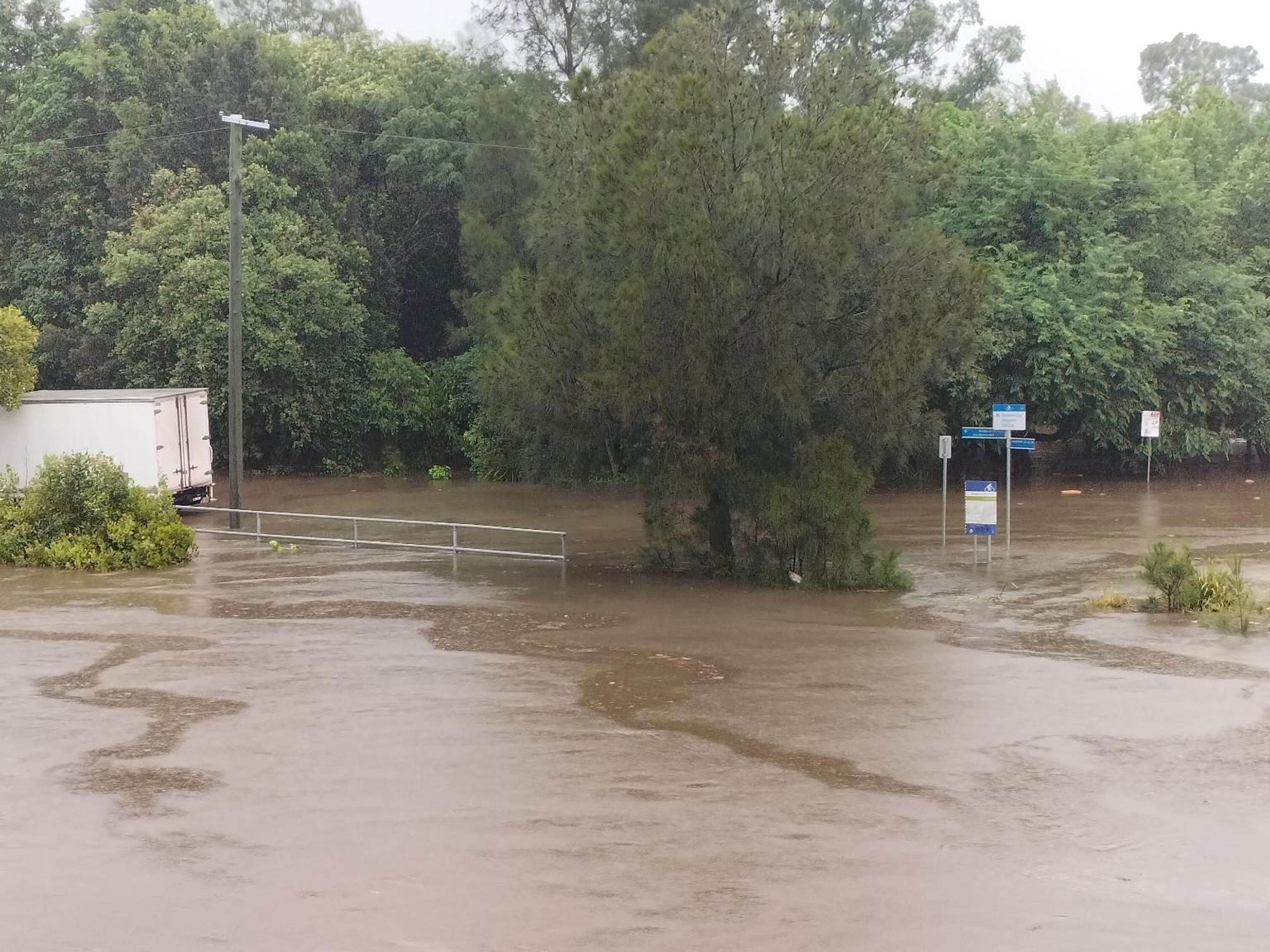 A flooded area with the tops of trees poking above the flood.