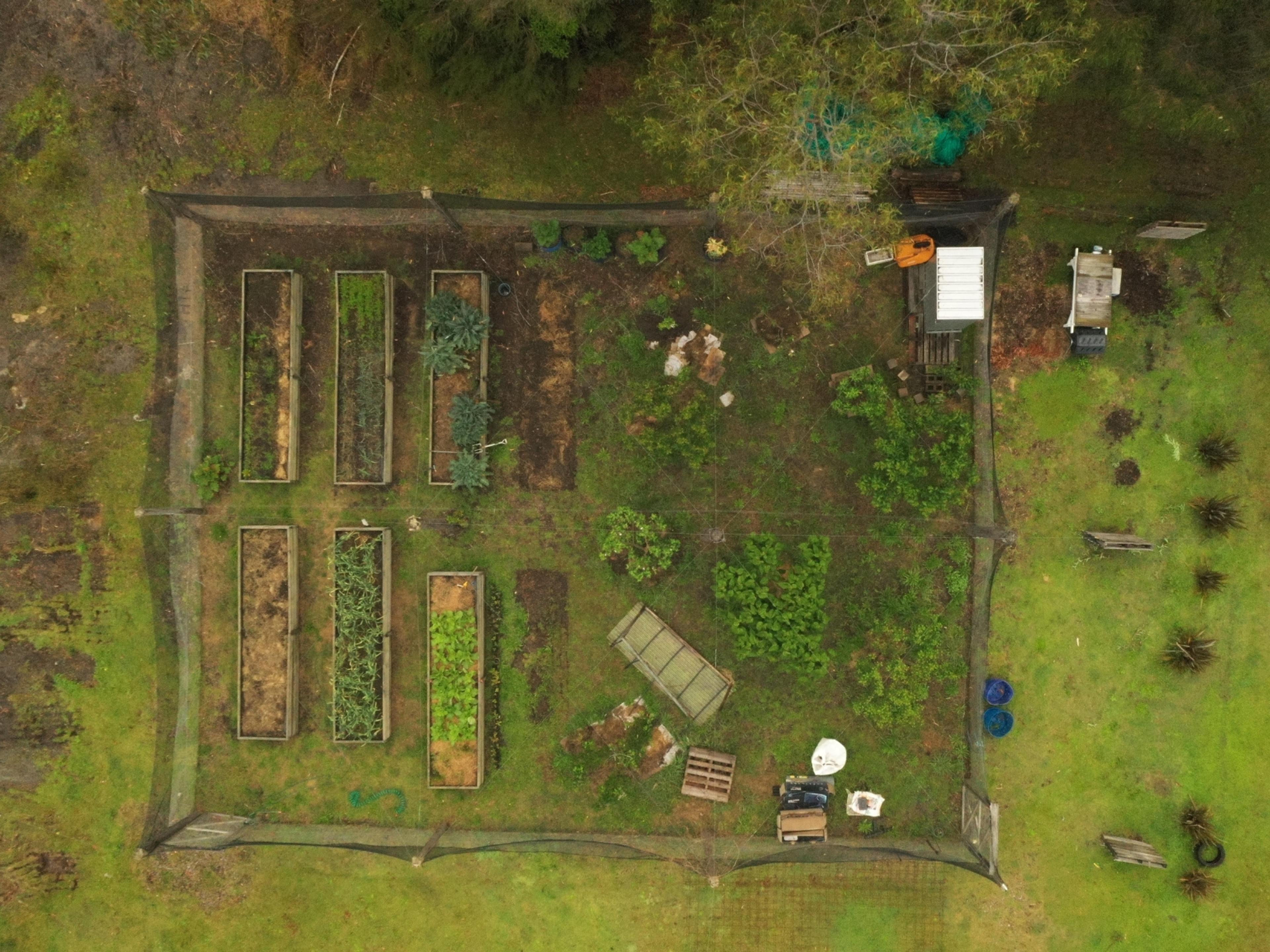 A birds eye view of the nursery.