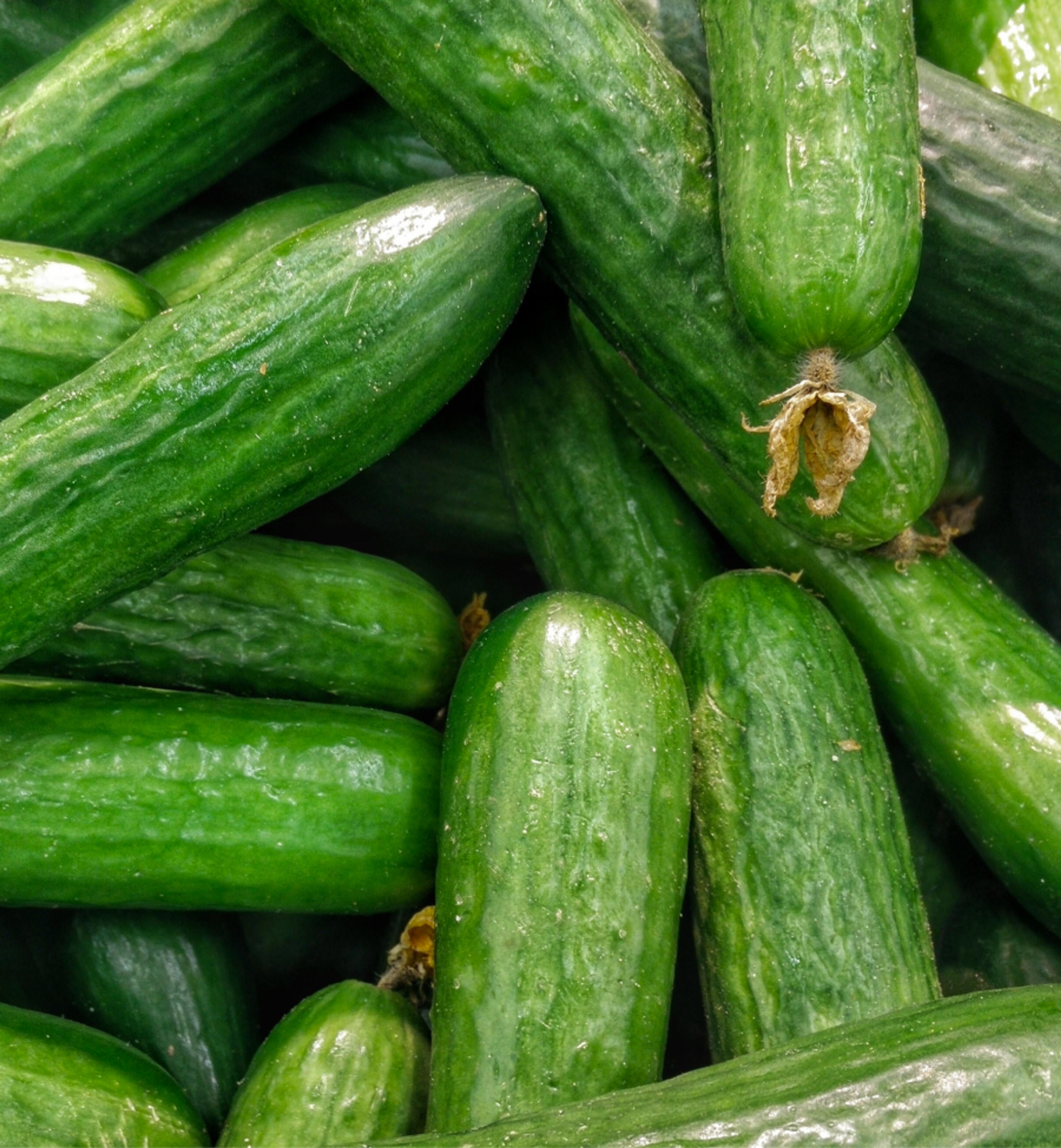 A close up of a pile of cucumbers.