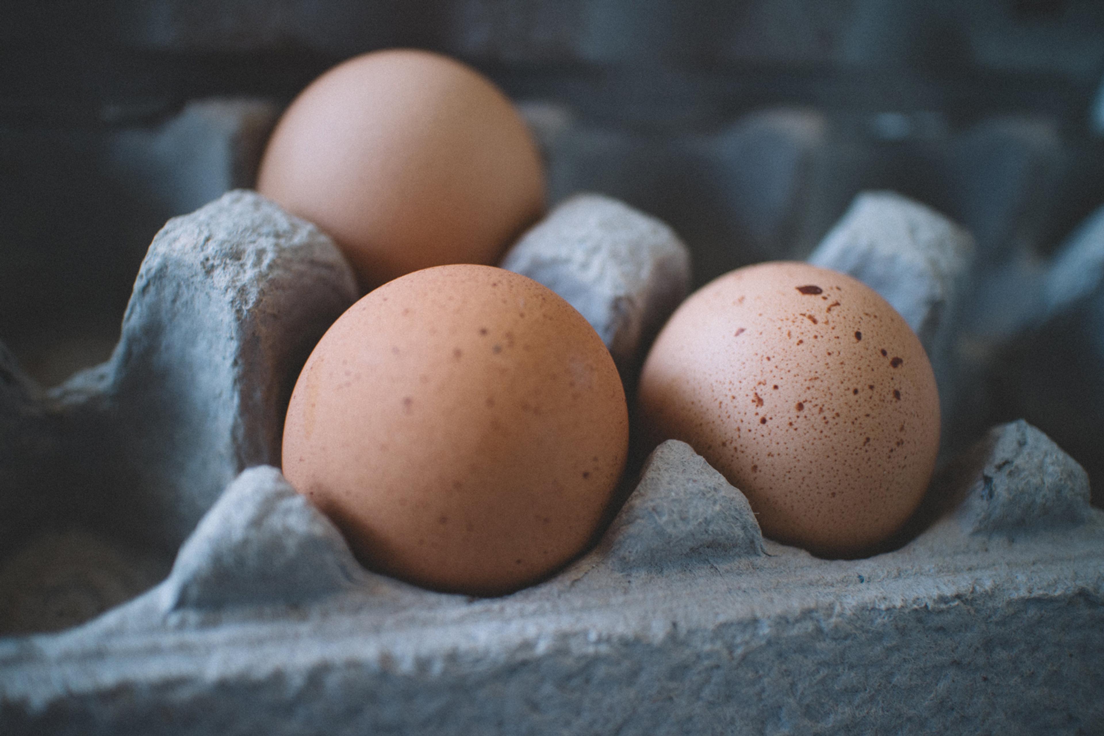 Three speckled eggs in a light grey egg carton