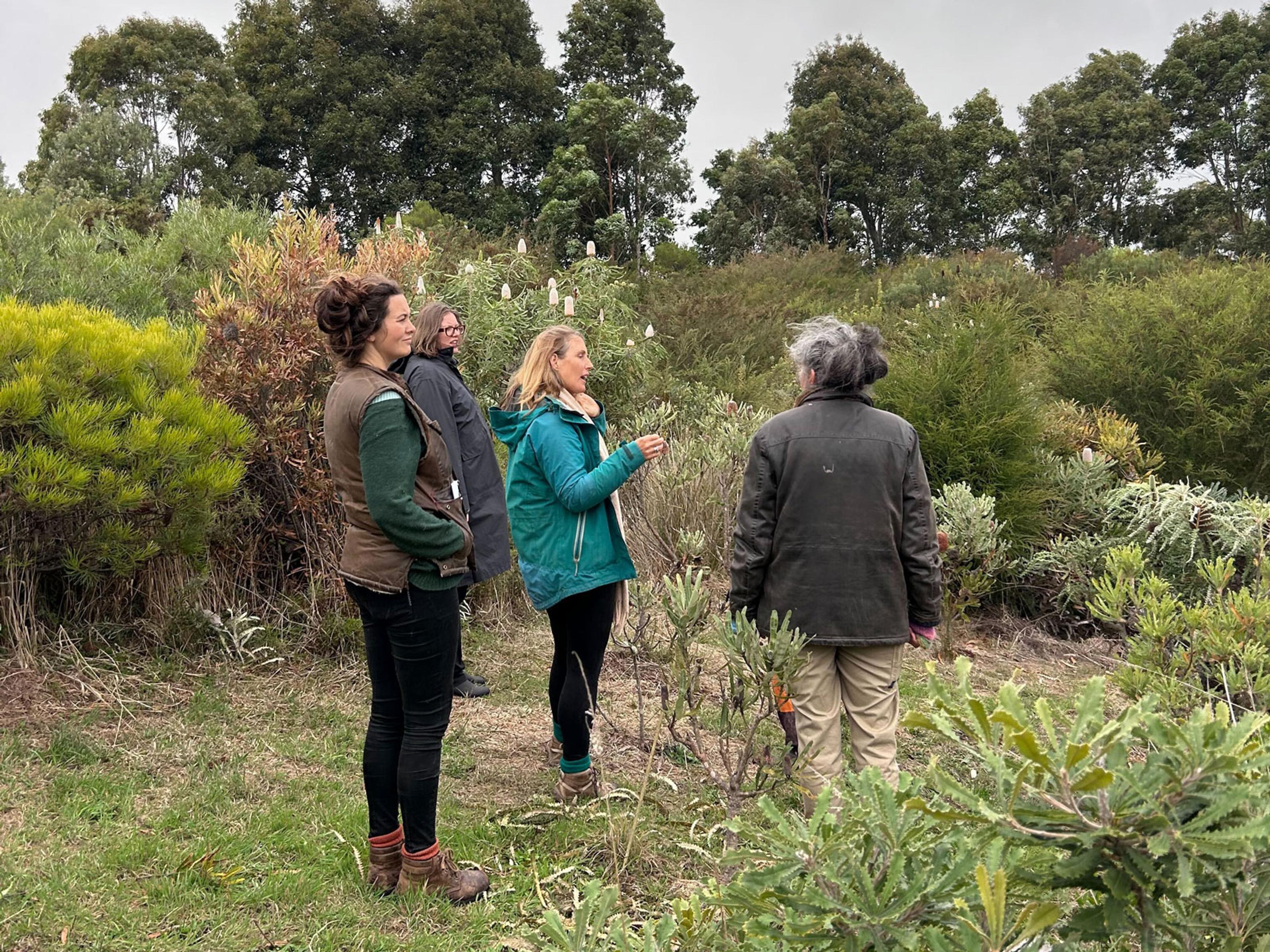 Four women standing together on a farm, deep in discussion.
