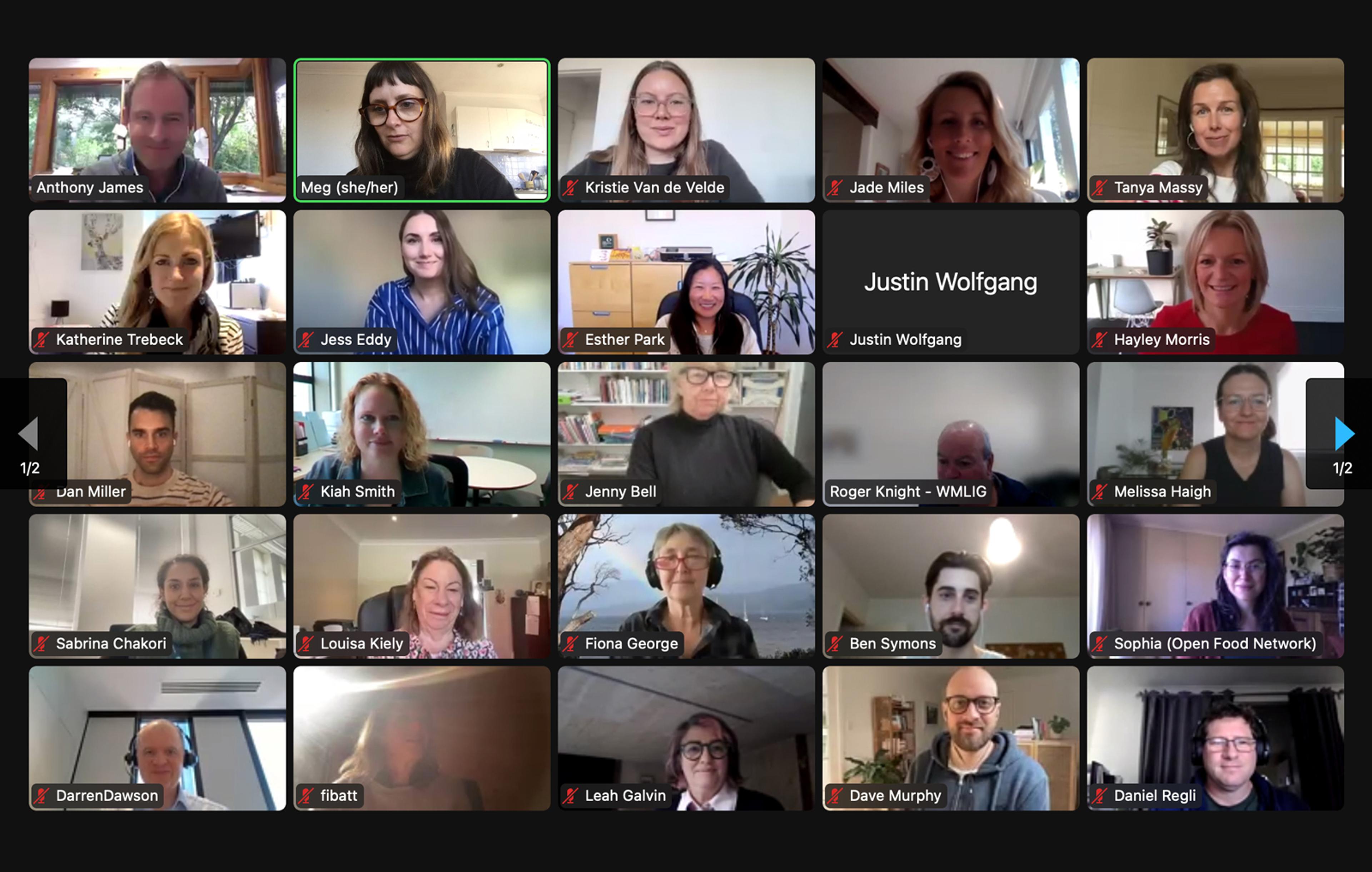 A screenshot of a bunch of people on Zoom.