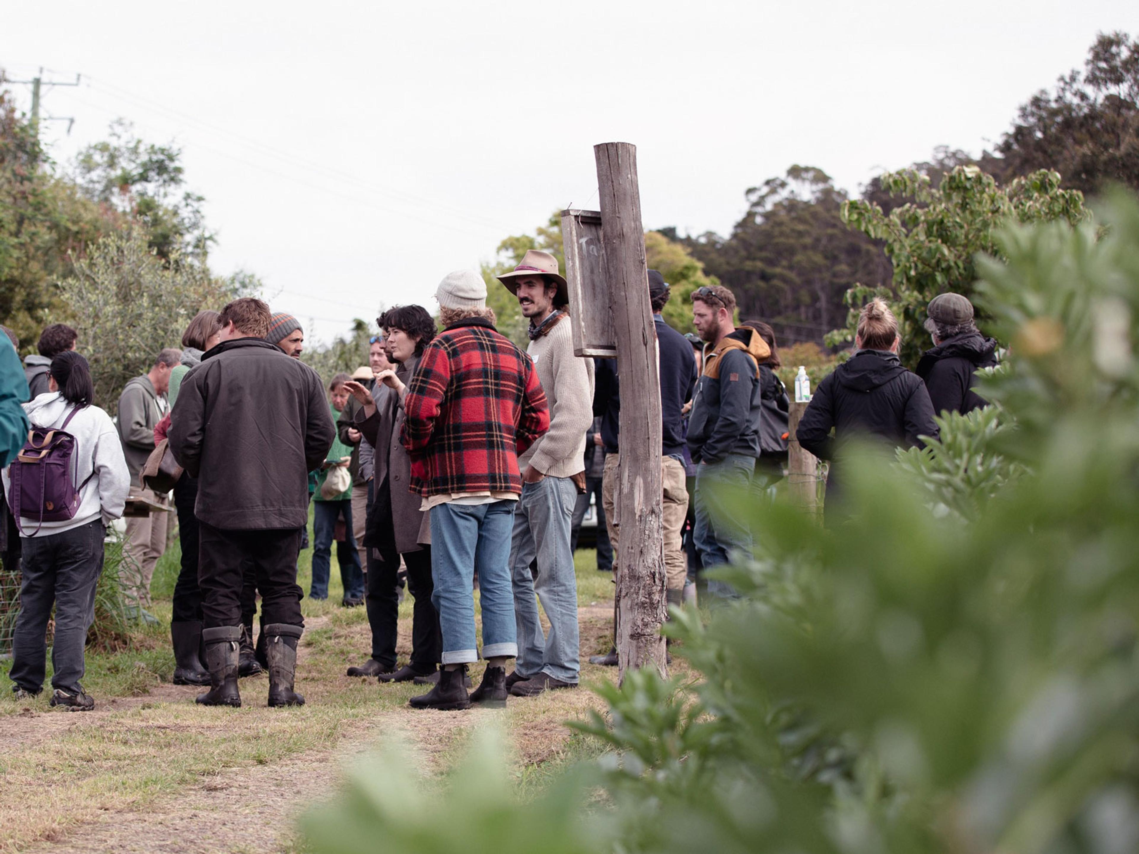 A group of people standing around and talking to each other, outside on a farm.