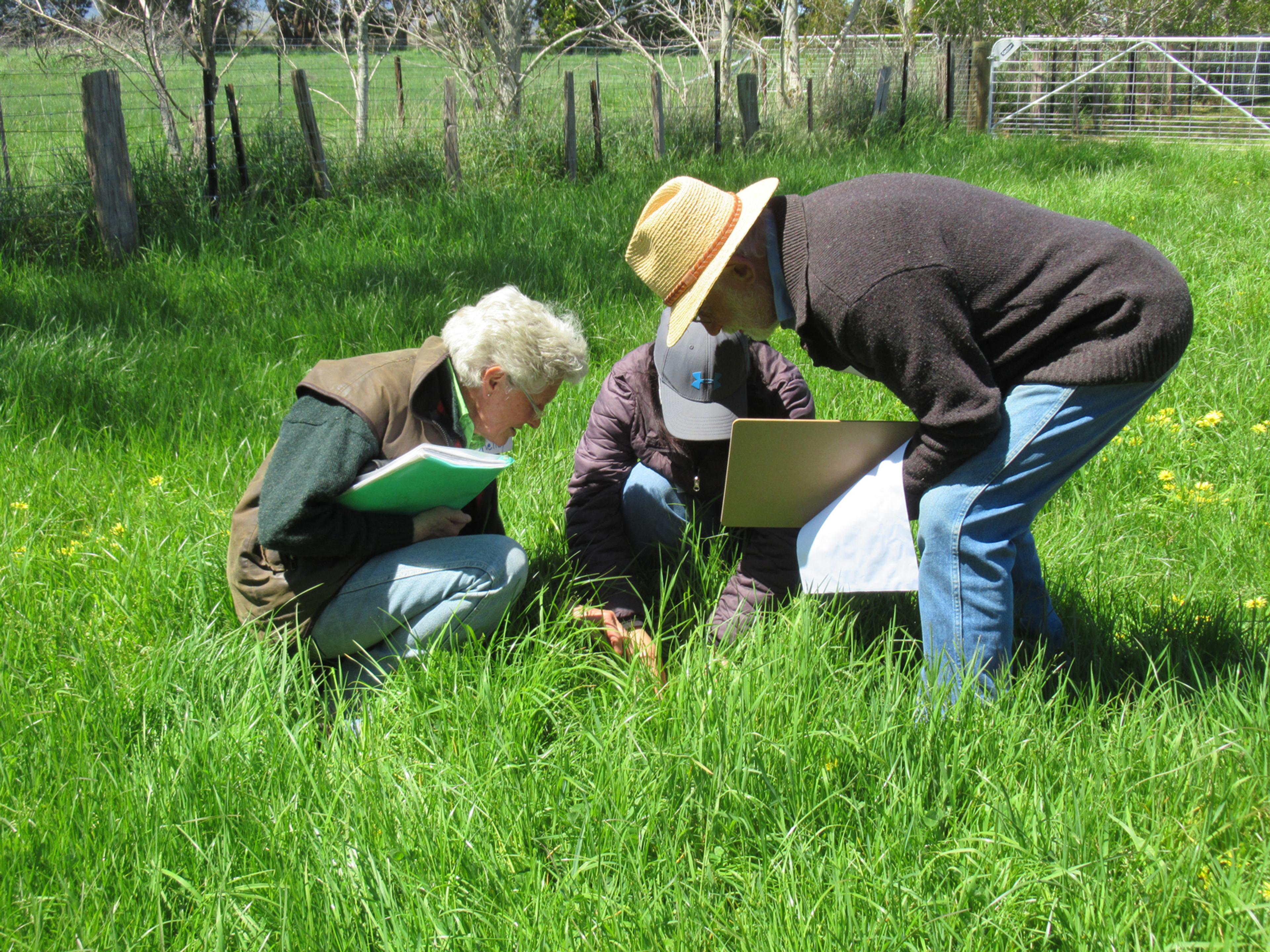 3 people holding papers crouching over in a lush green paddock conducting soil health tests.