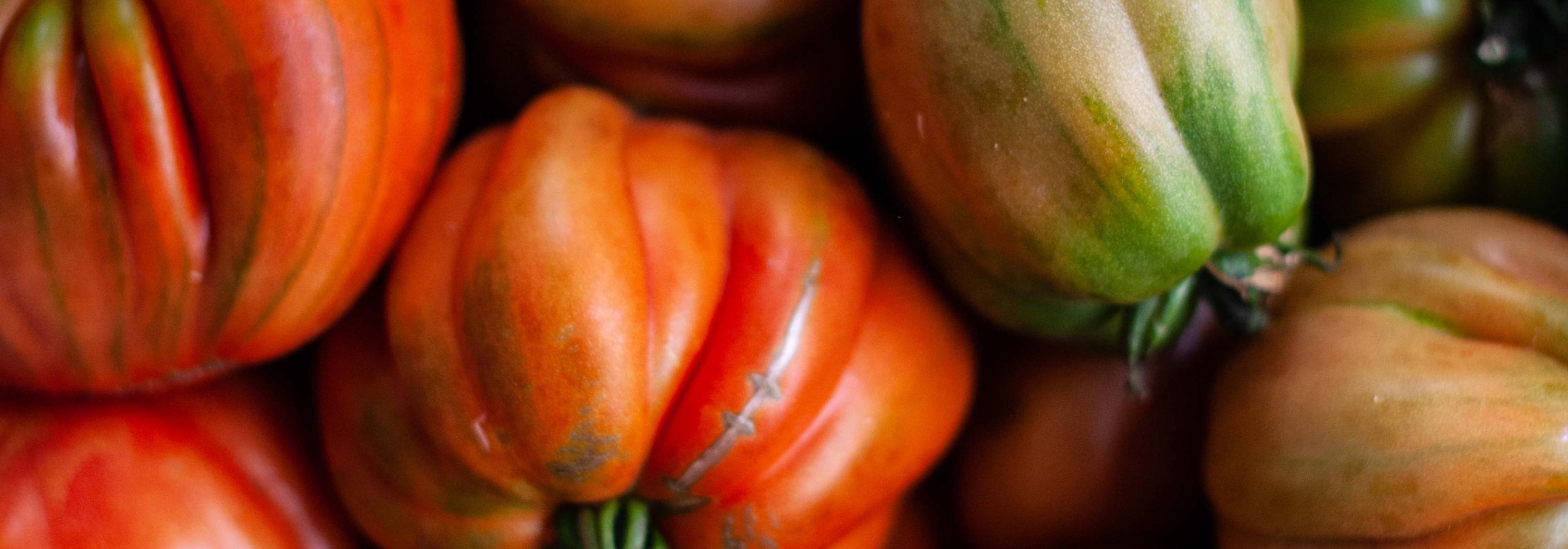 A pile of green and red tomatoes.