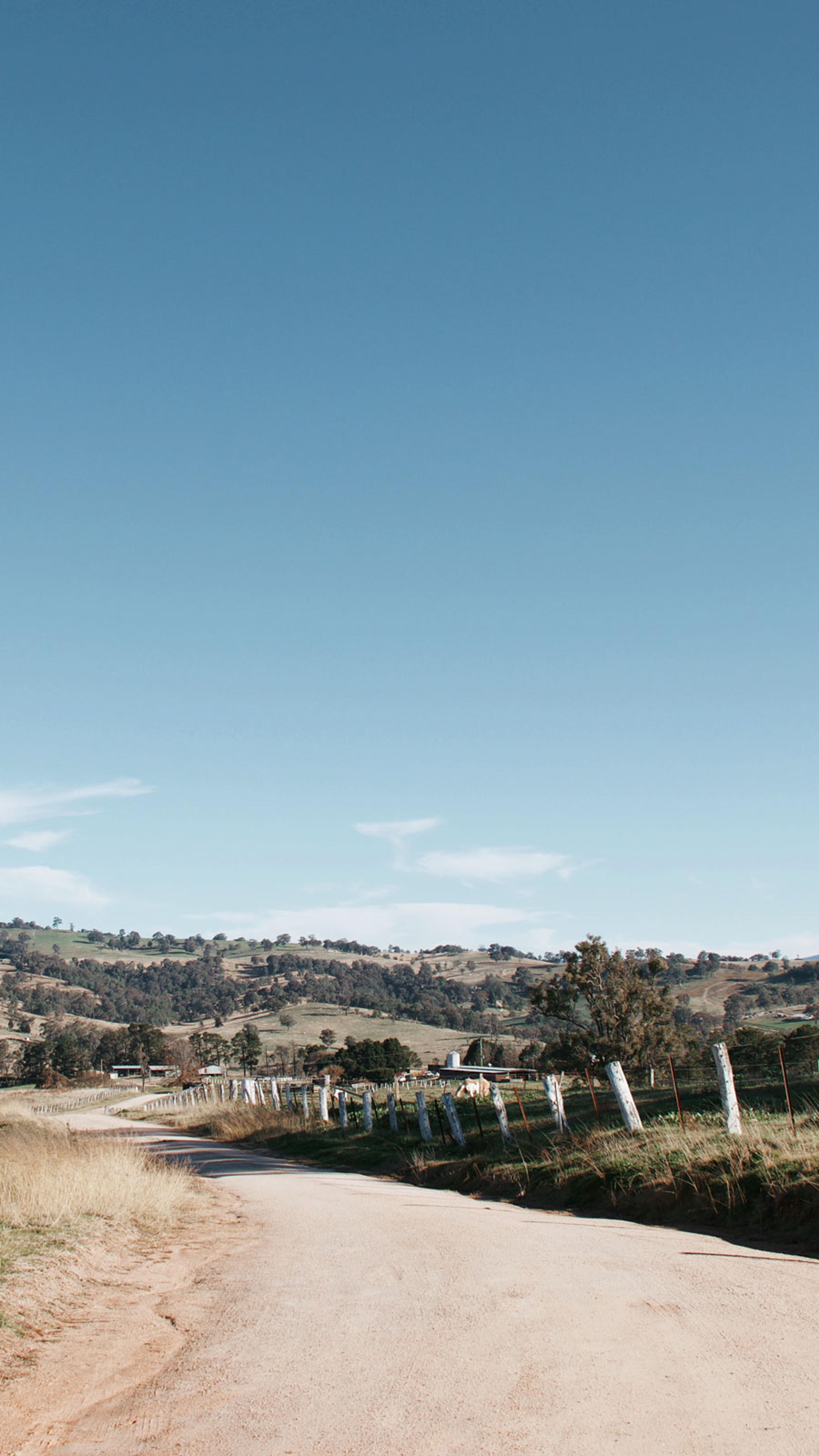 A dirt road lined by fence in the country.