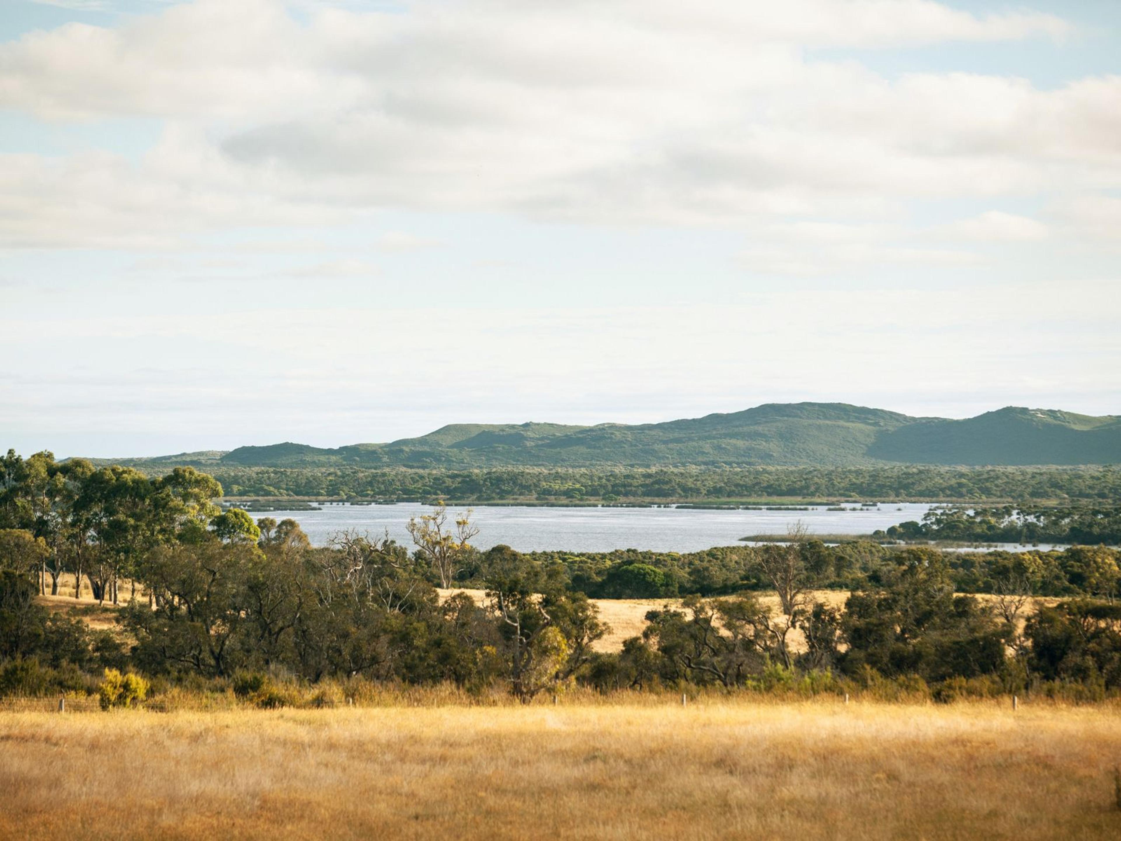 An Australian landscape. A yellowing grass area in the foreground, a body of water behind that and a hill in the background.