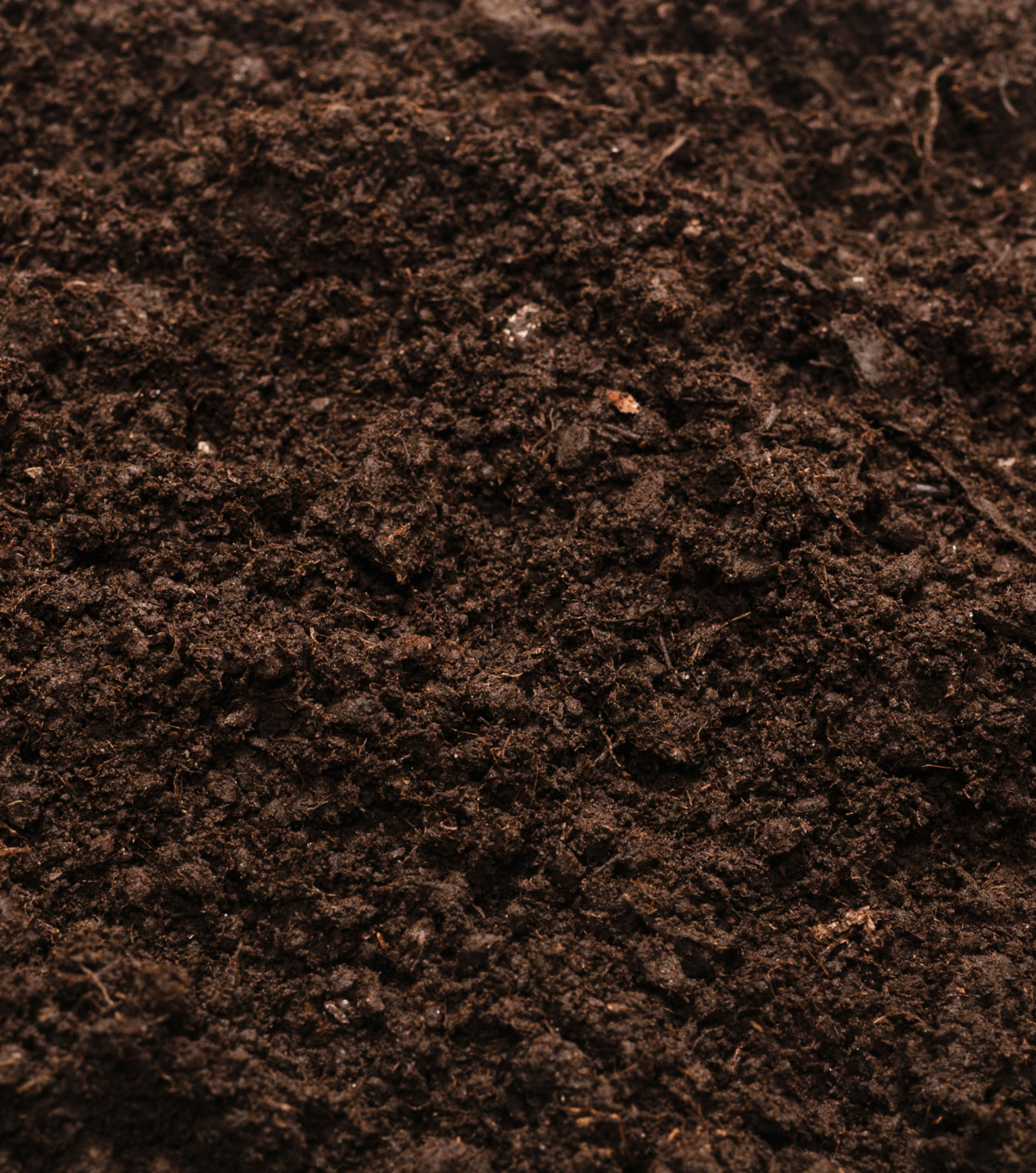 Dark brown, healthy soil.