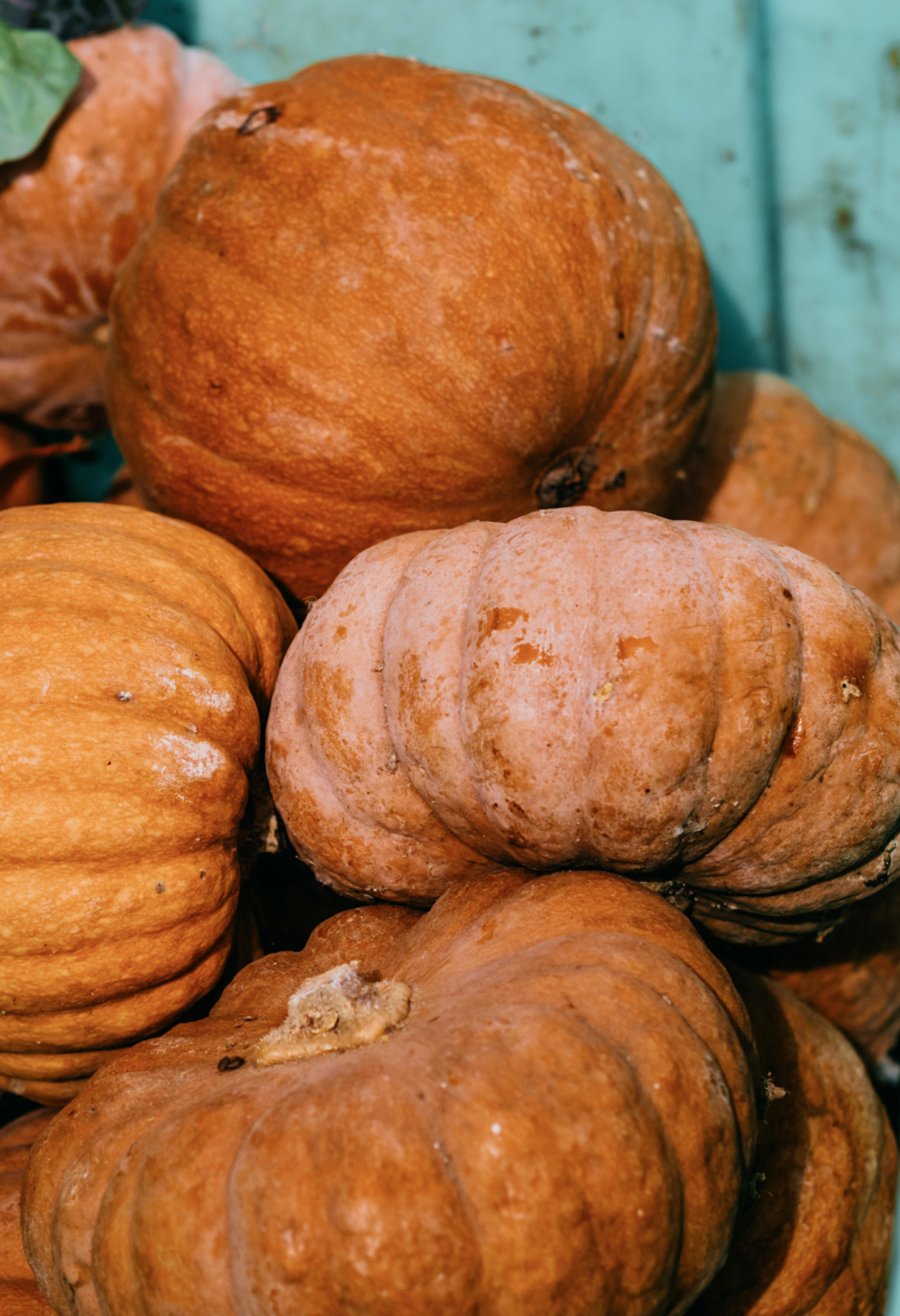 A pile of pumpkins.