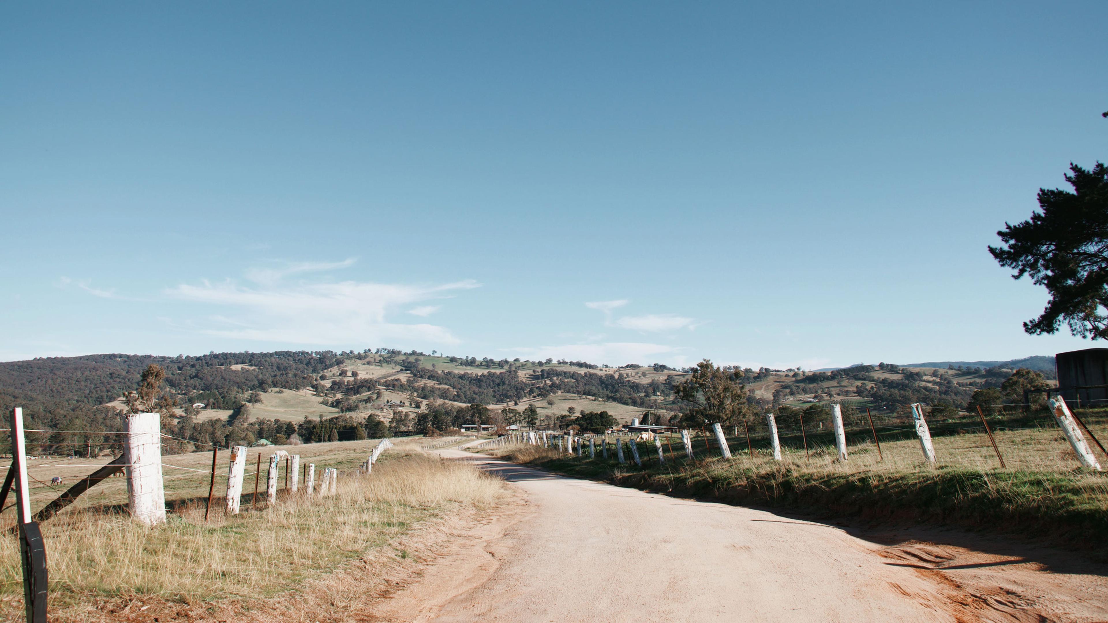 A dirt road lined by fence in the country.