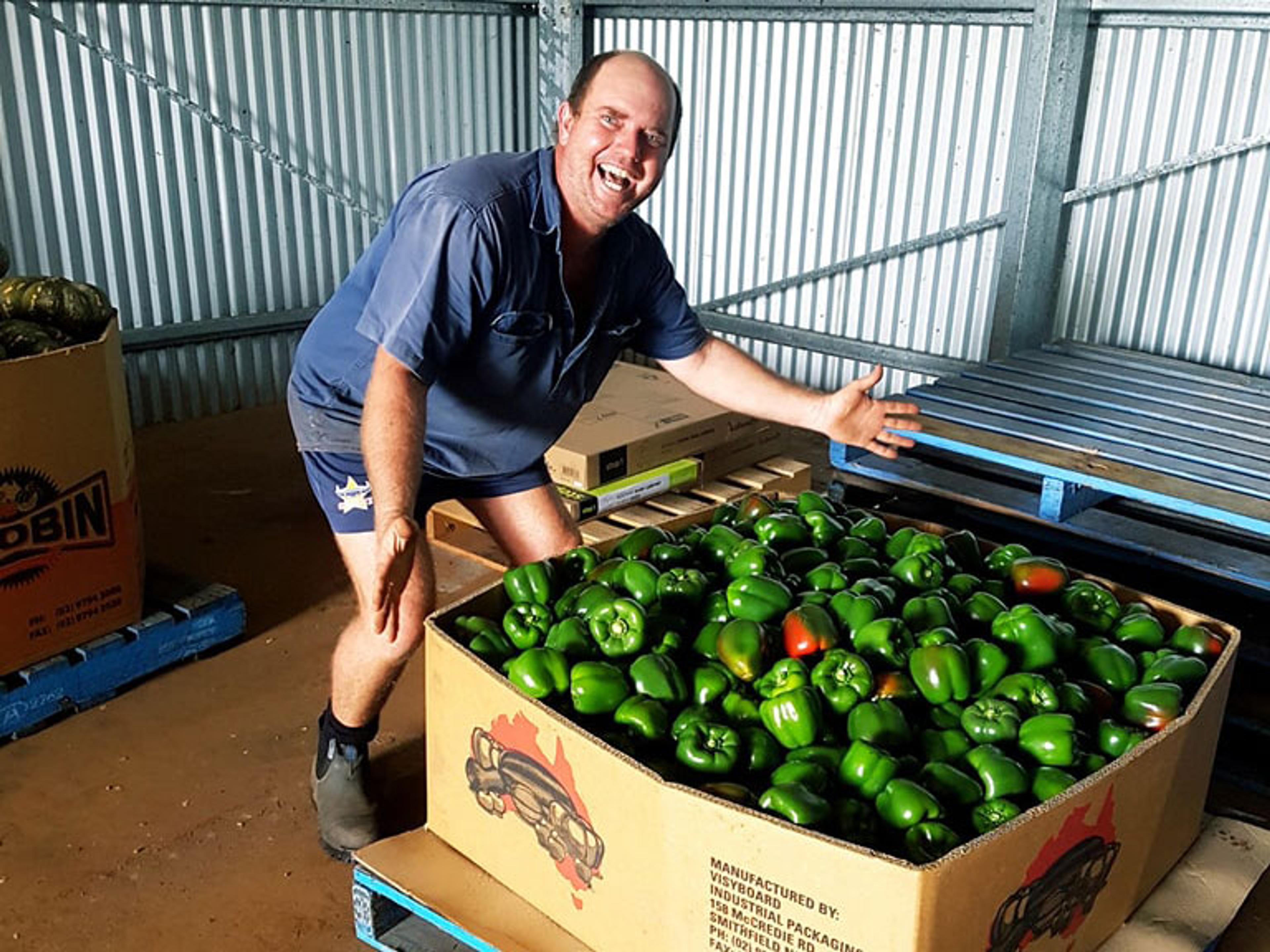 A man with a big smile presenting a big cardboard box full of green capsicums to the camera. He's in a shed and there are pallets and boxes behind him.