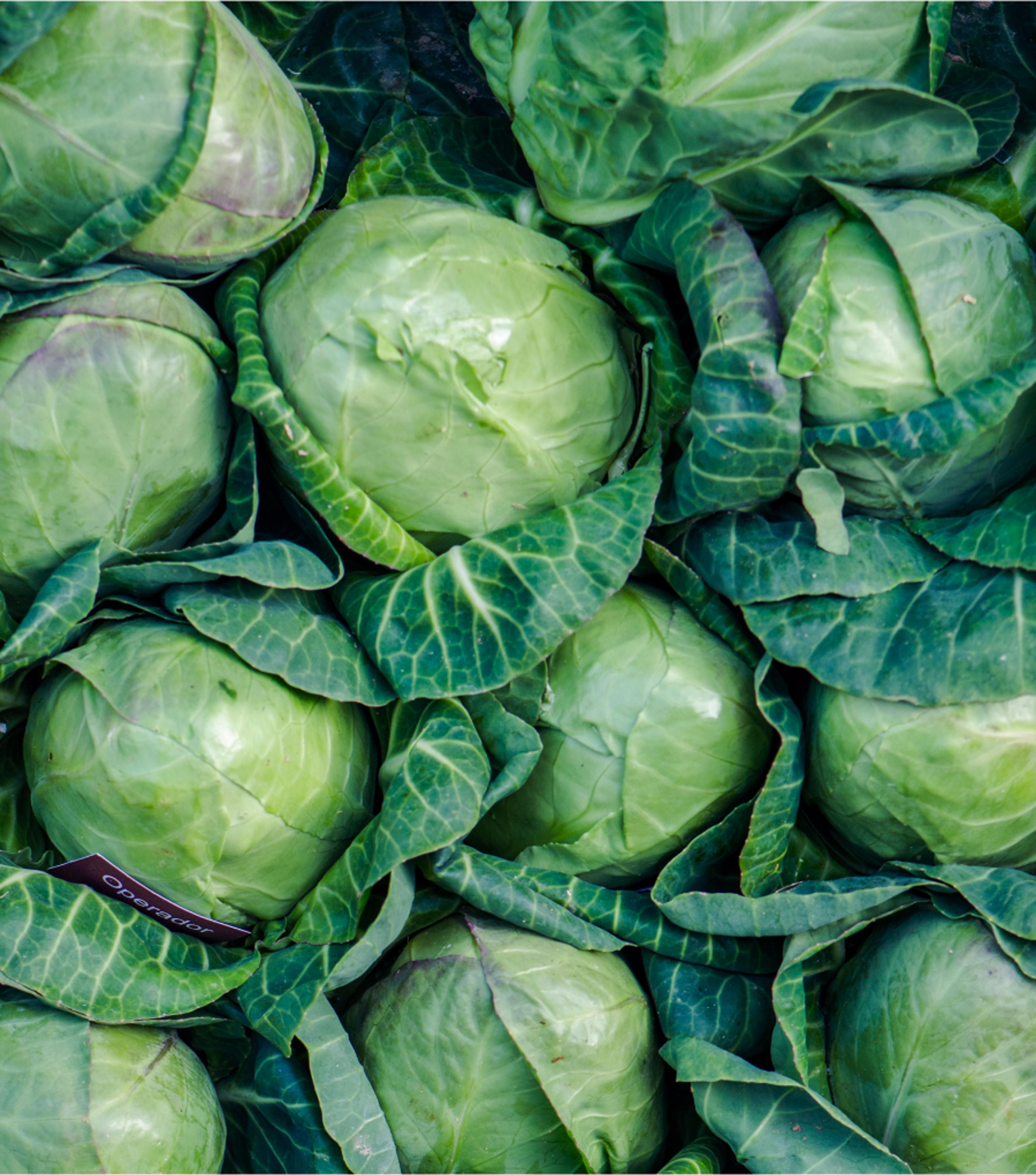 A pile of cabbages.