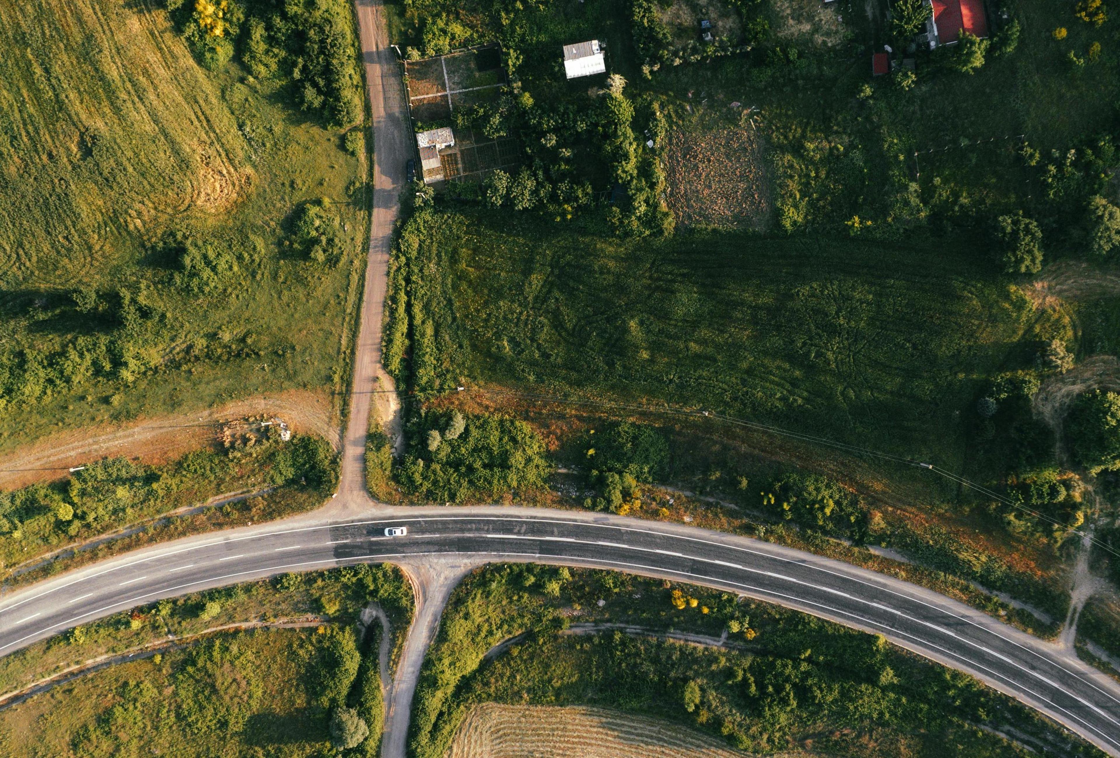 A close up of a green leaf. You can see all of its veins.
