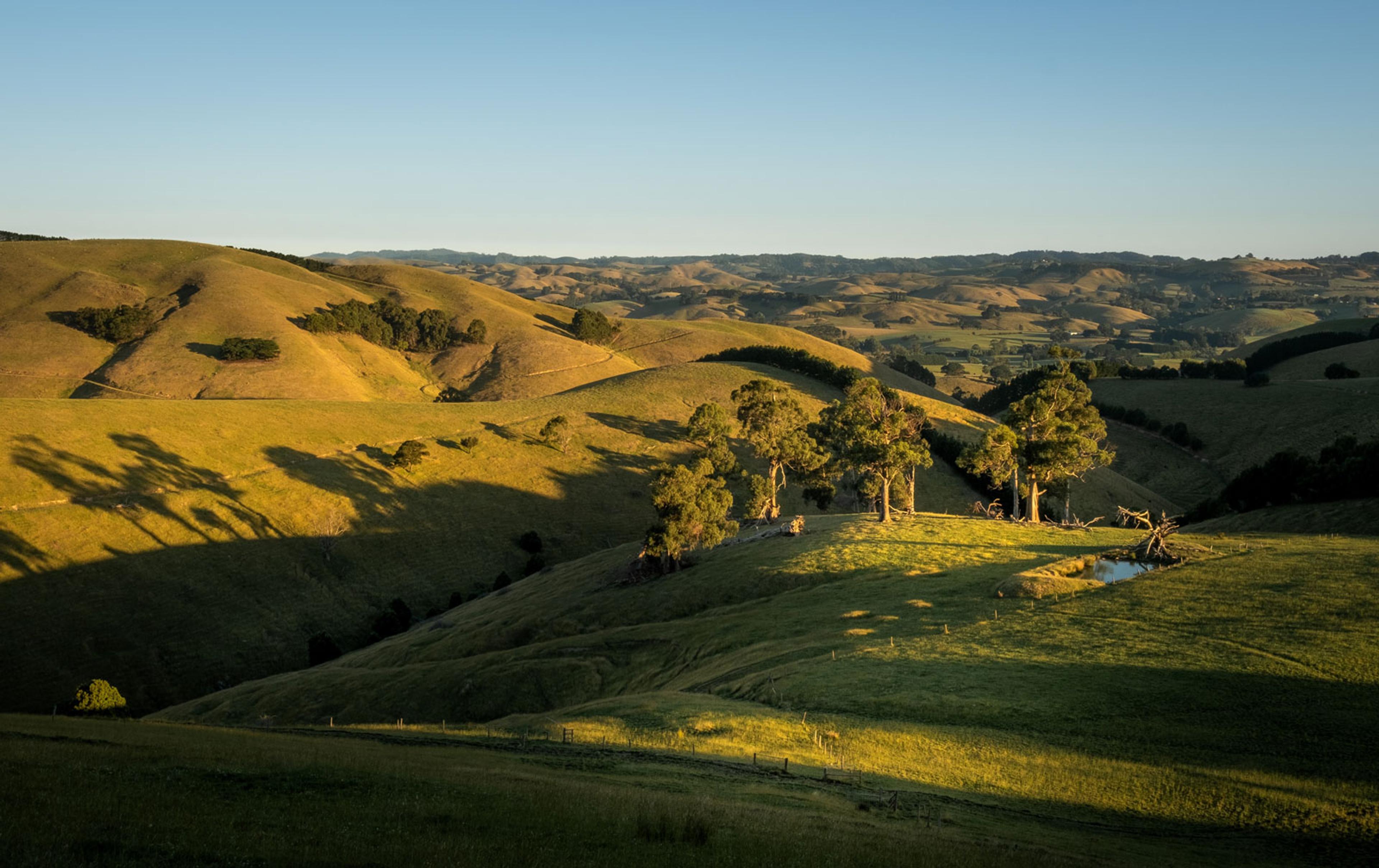 The sun rising over green hills.