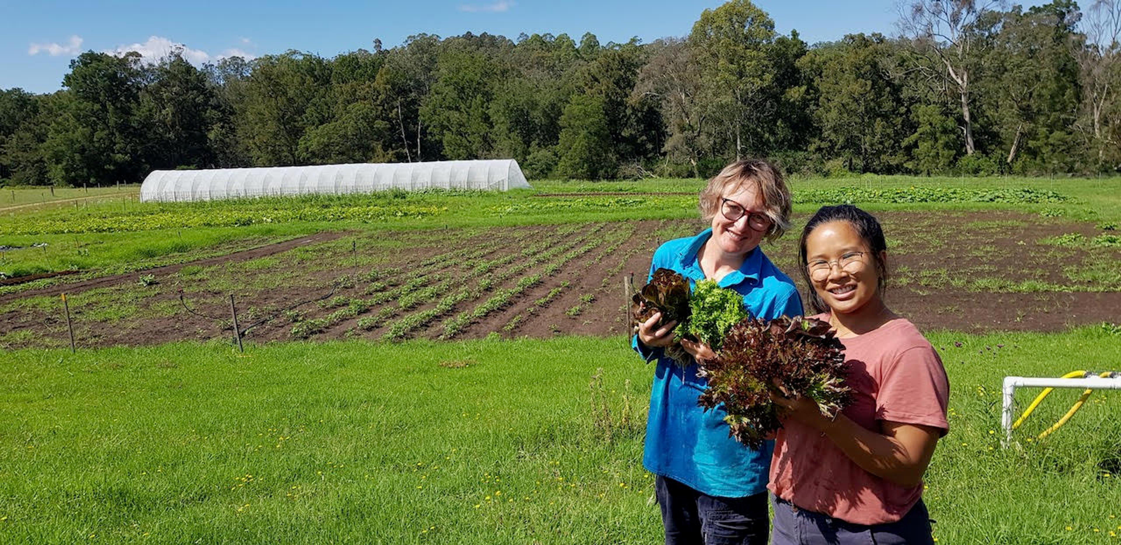 Happy interns harvest their first crop of salad from the newly established garden beds at Stepping Stone Farm