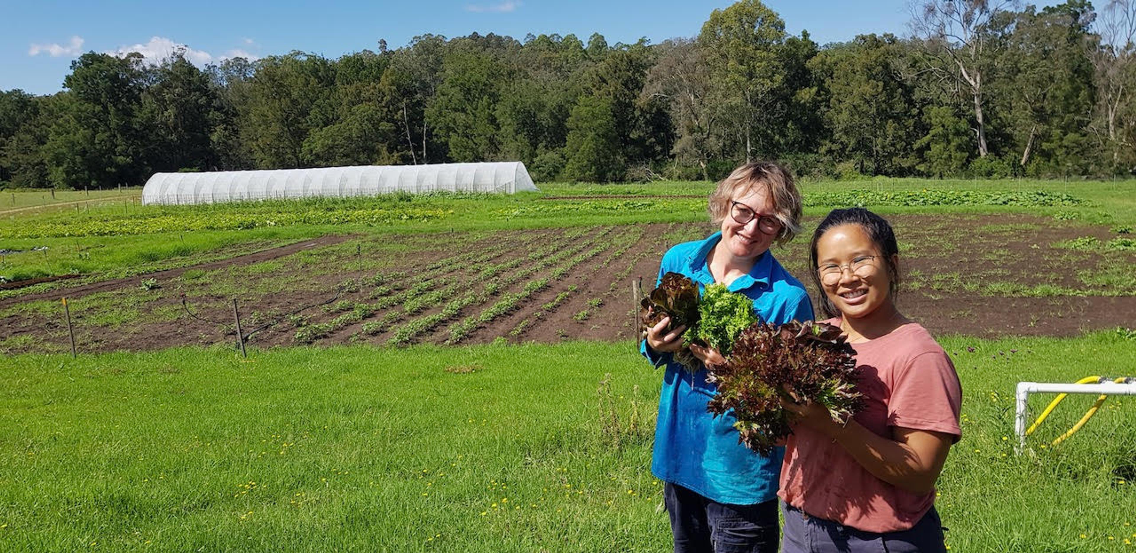 Happy interns harvest their first crop of salad from the newly established garden beds at Stepping Stone Farm