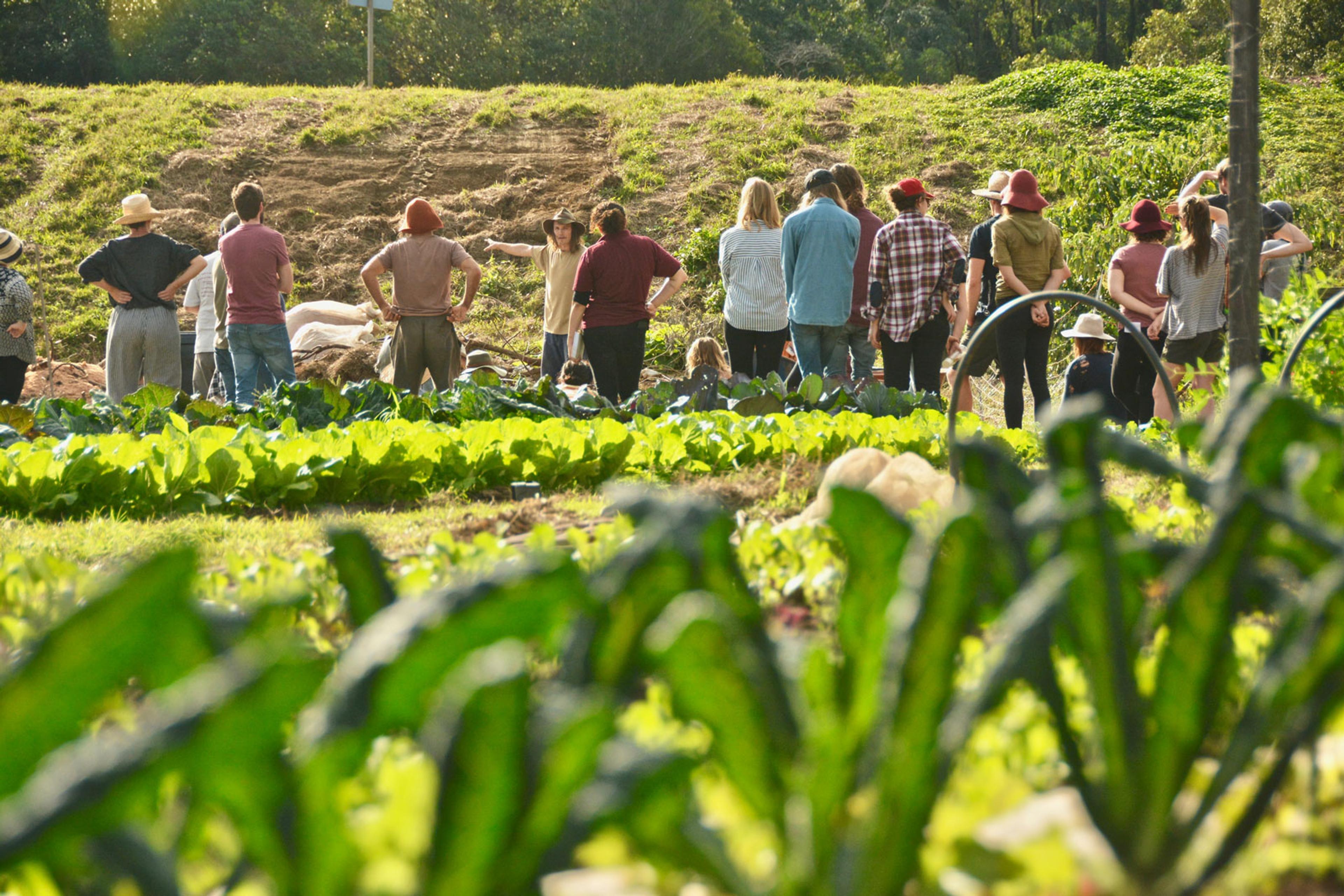 A group of farmers standing around on a farm with lush greenery. 