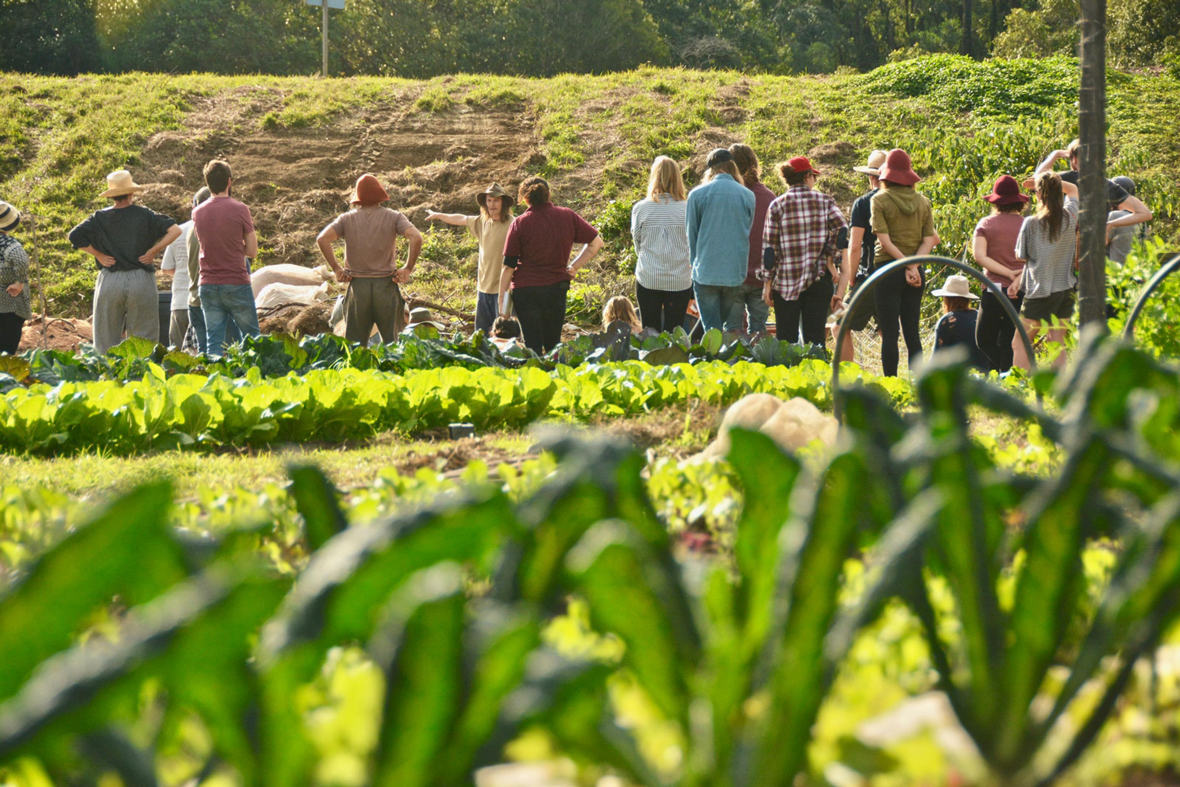 A group of farmers standing around on a farm with lush greenery.