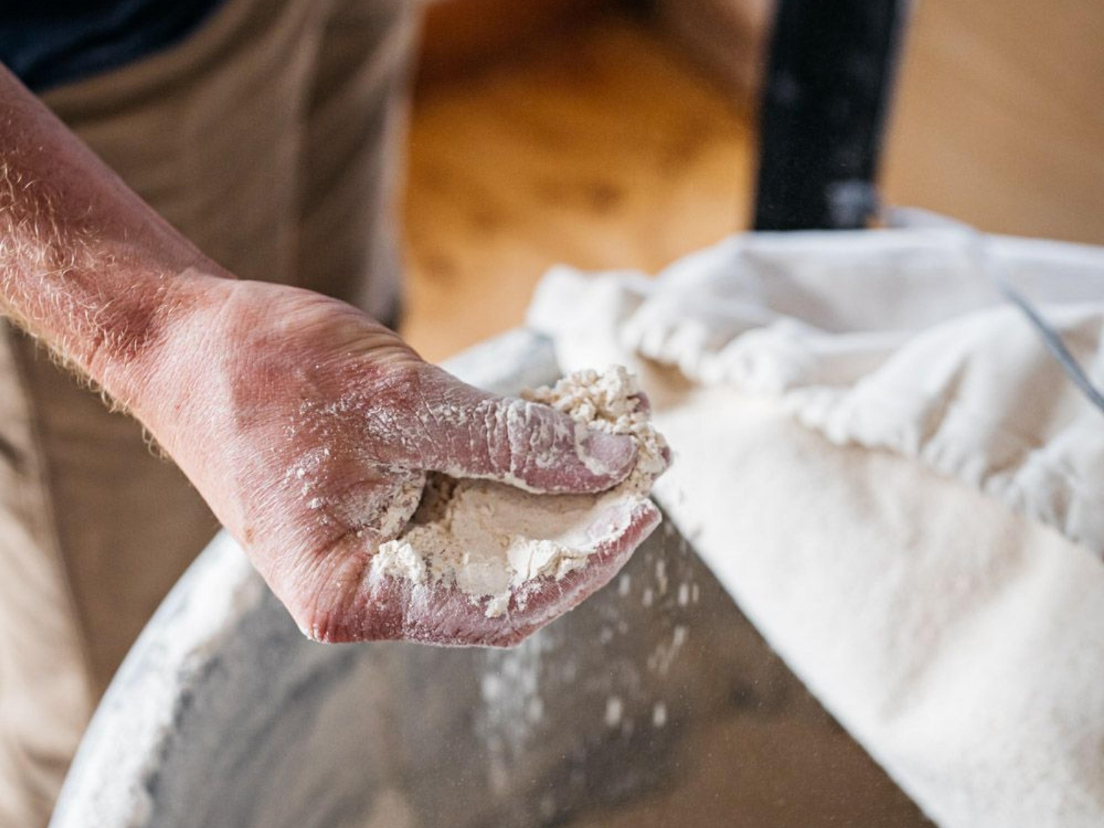 A hand holding some flour over a bag full of flour.