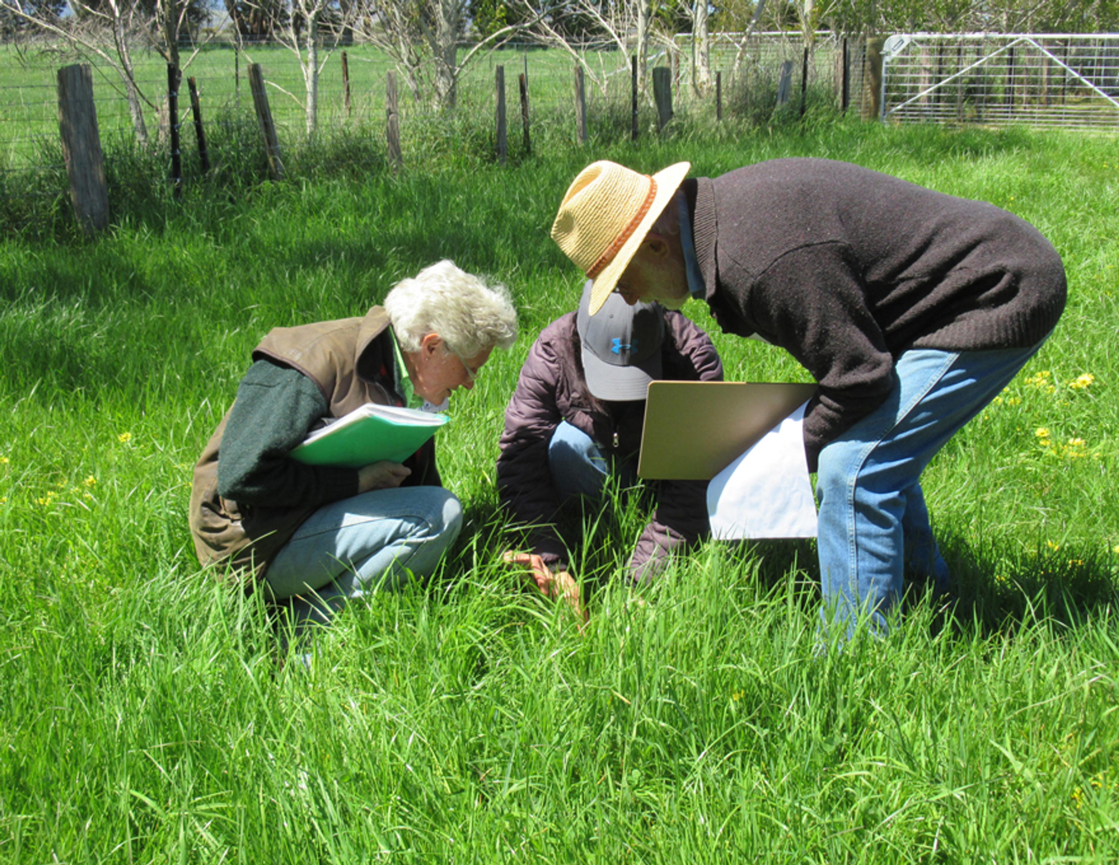 3 people holding papers crouching over in a lush green paddock conducting soil health tests.