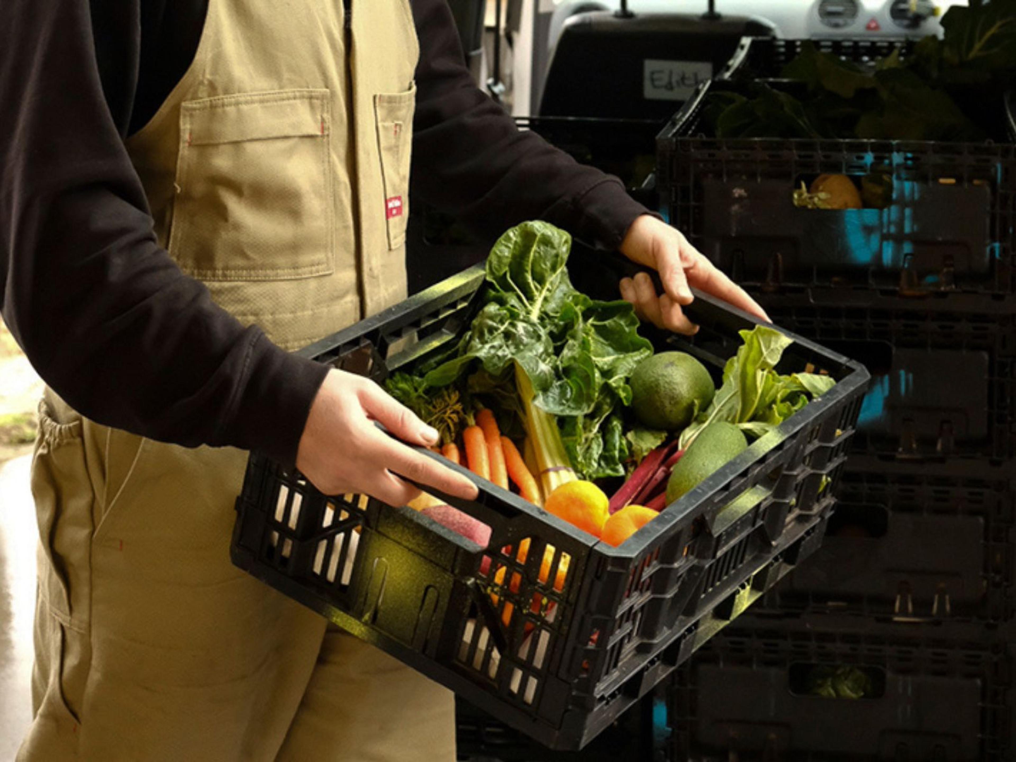 A person holding a plastic crate filled with fresh vegetables.
