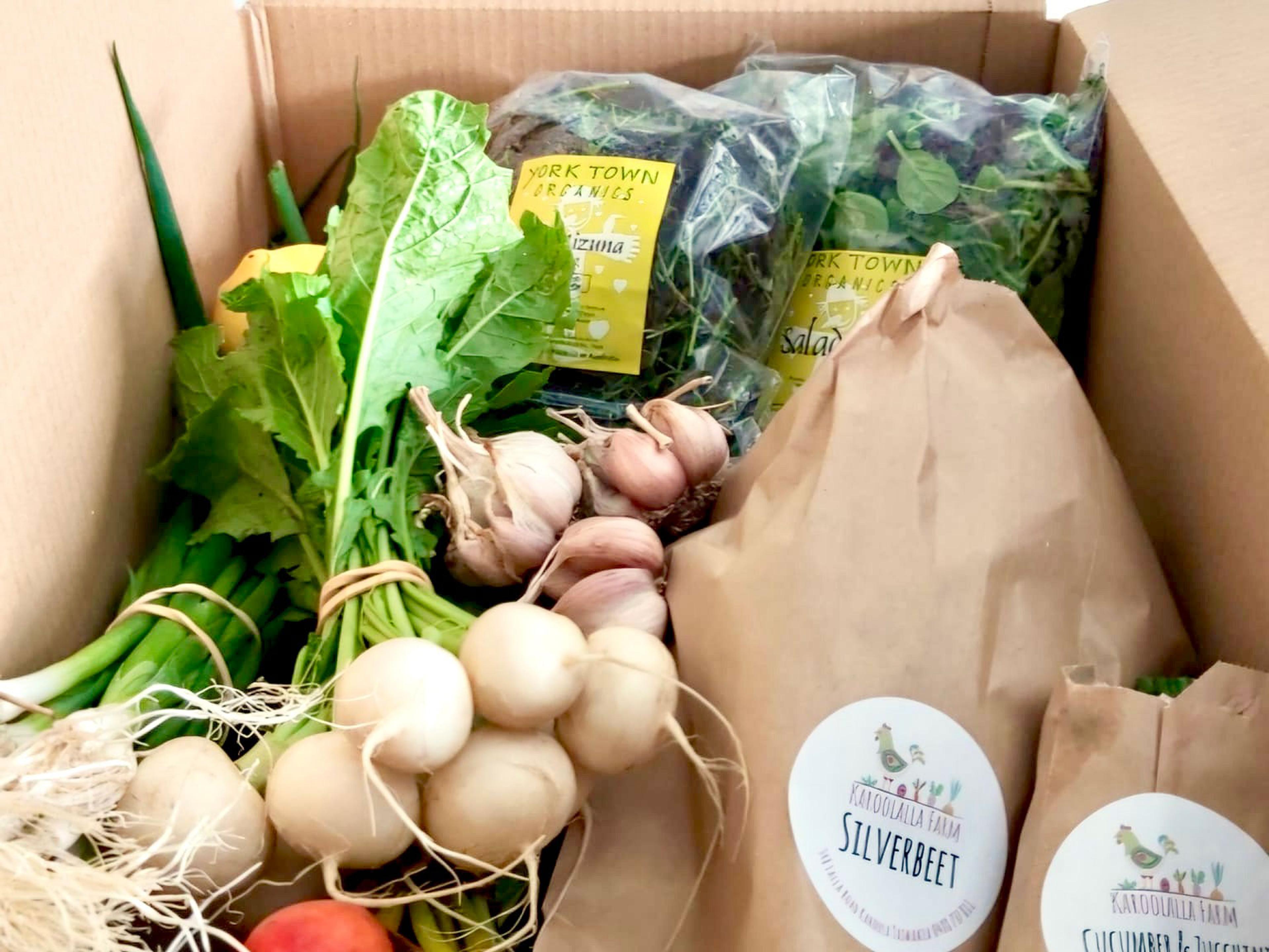 A box full of fresh Tasmanian vegetables