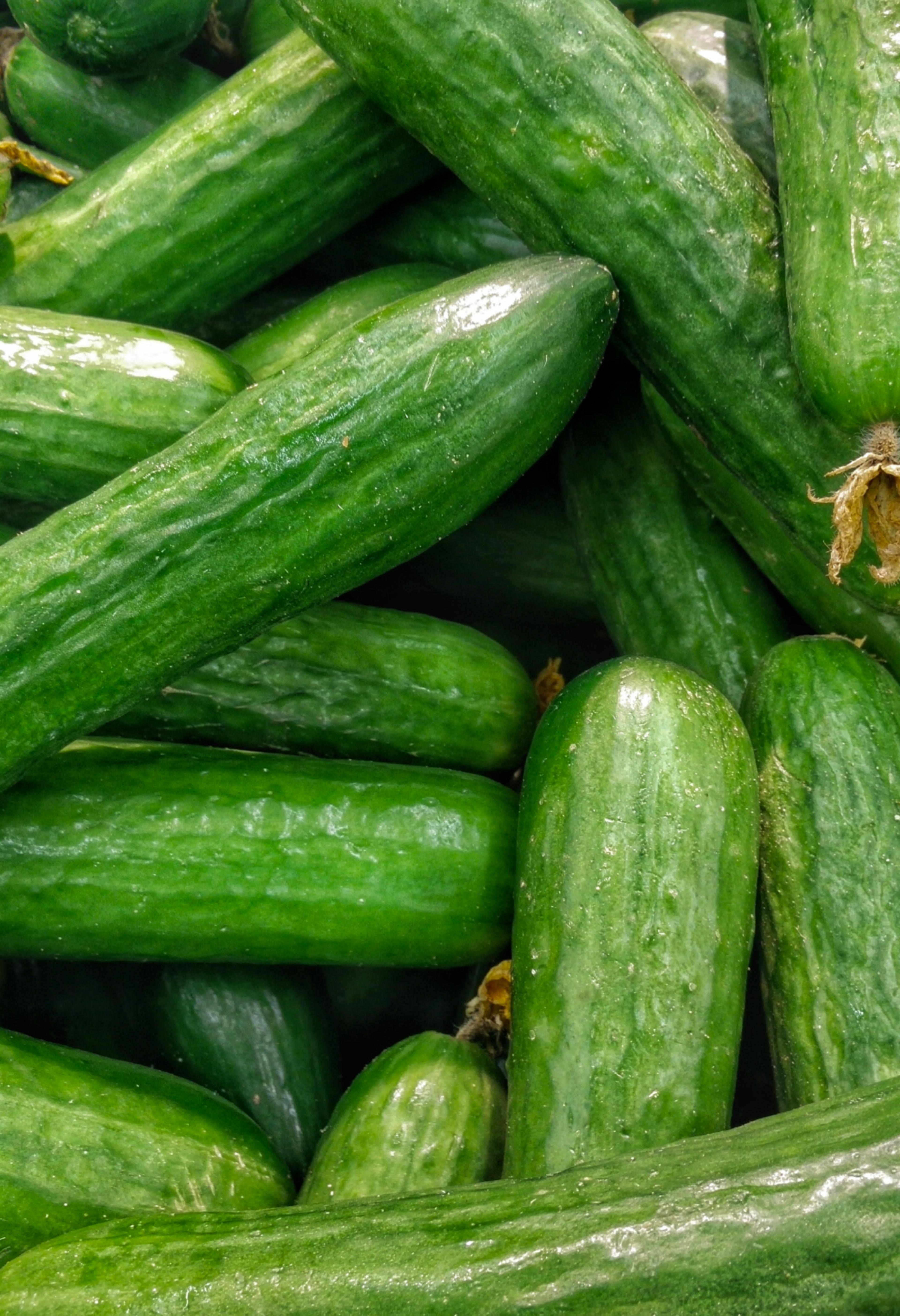 A close up of a pile of cucumbers.